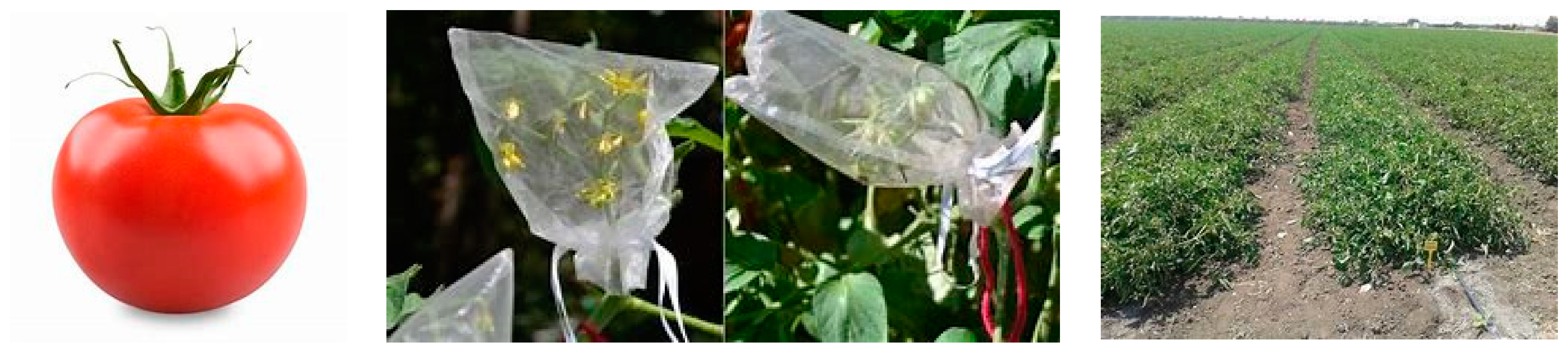 Sustainability 12 06297 g002