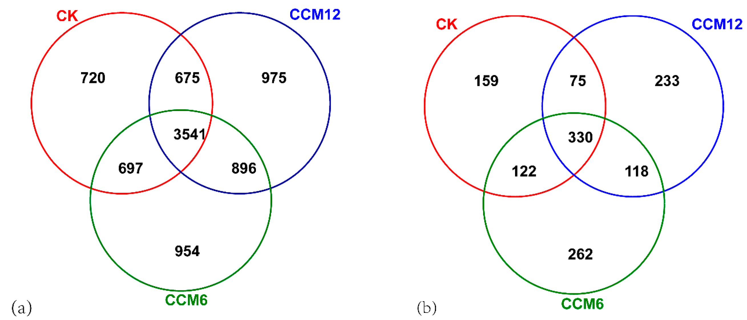 Sustainability 12 06313 g003