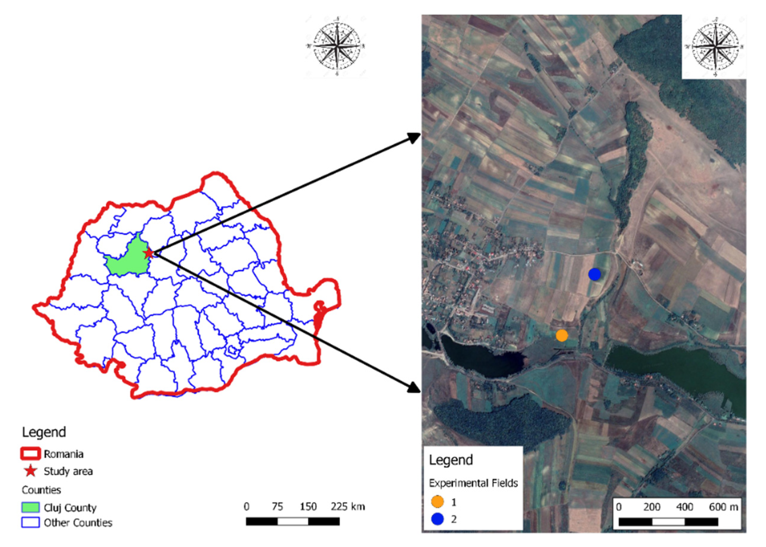 Sustainability 12 06339 g001