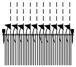 Sustainability 12 06340 i004