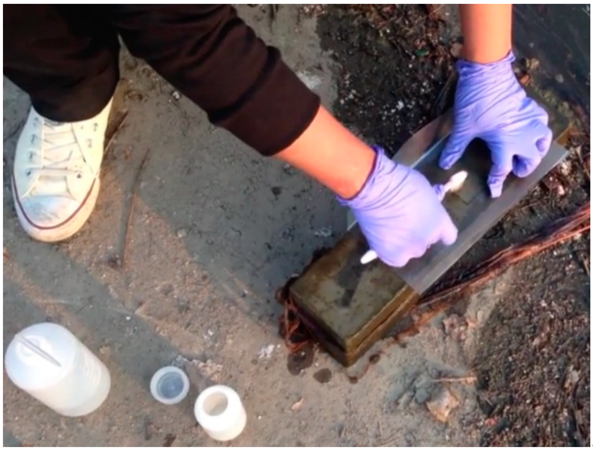 Sustainability 12 06346 g001