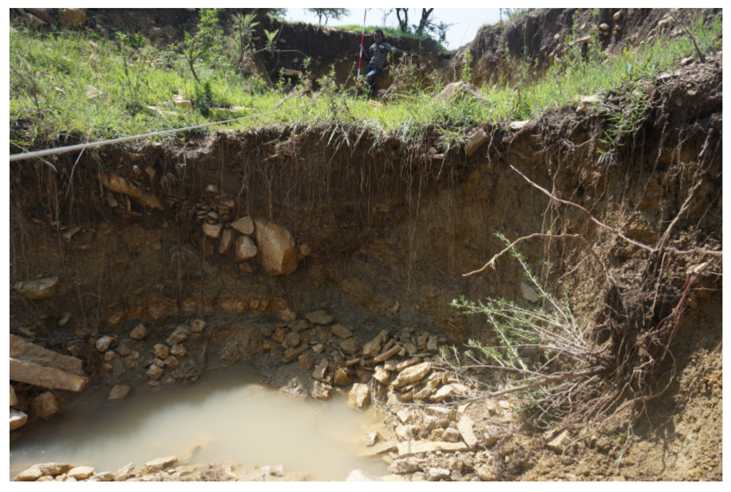 Sustainability 12 06388 g003