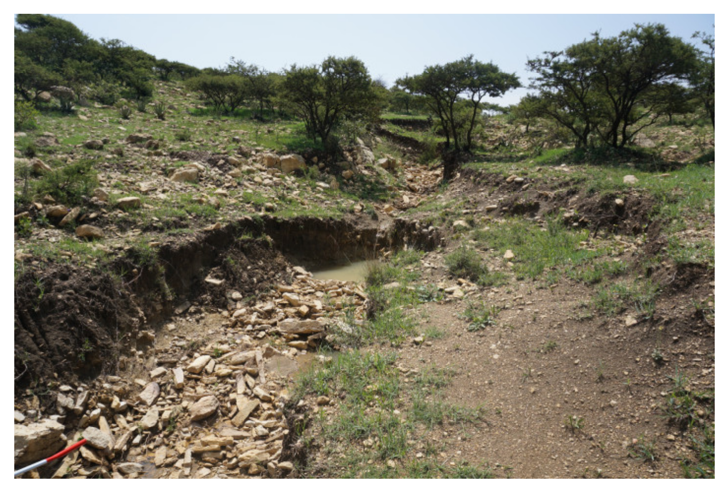 Sustainability 12 06388 g004