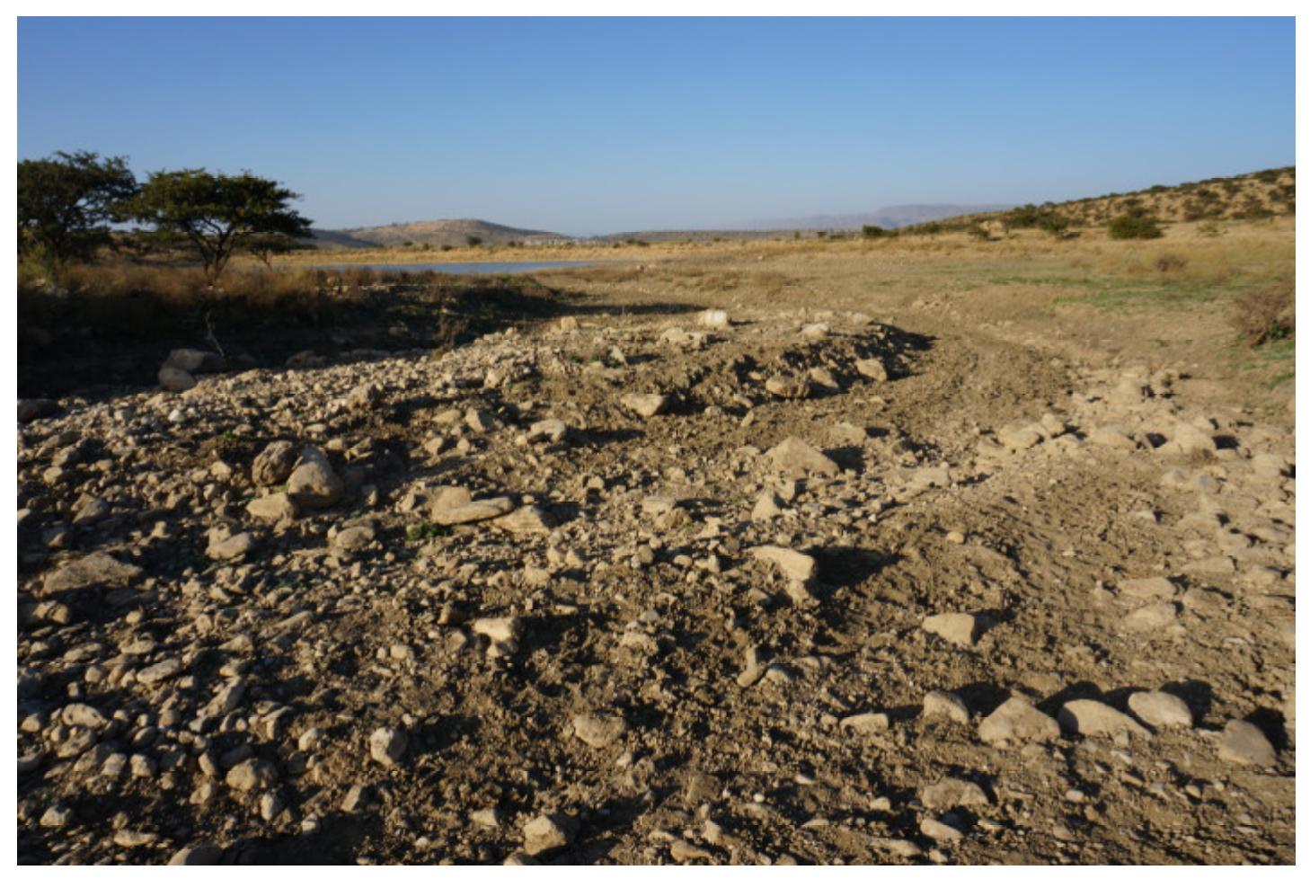 Sustainability 12 06388 g006