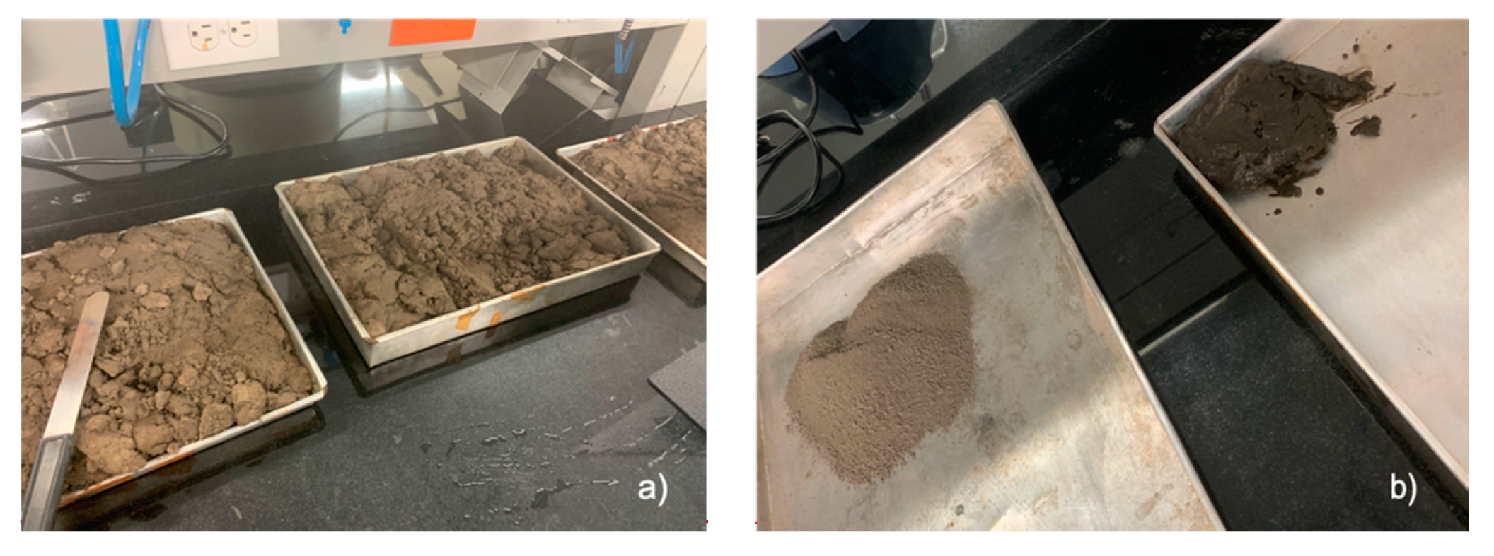 Sustainability 12 06451 g001