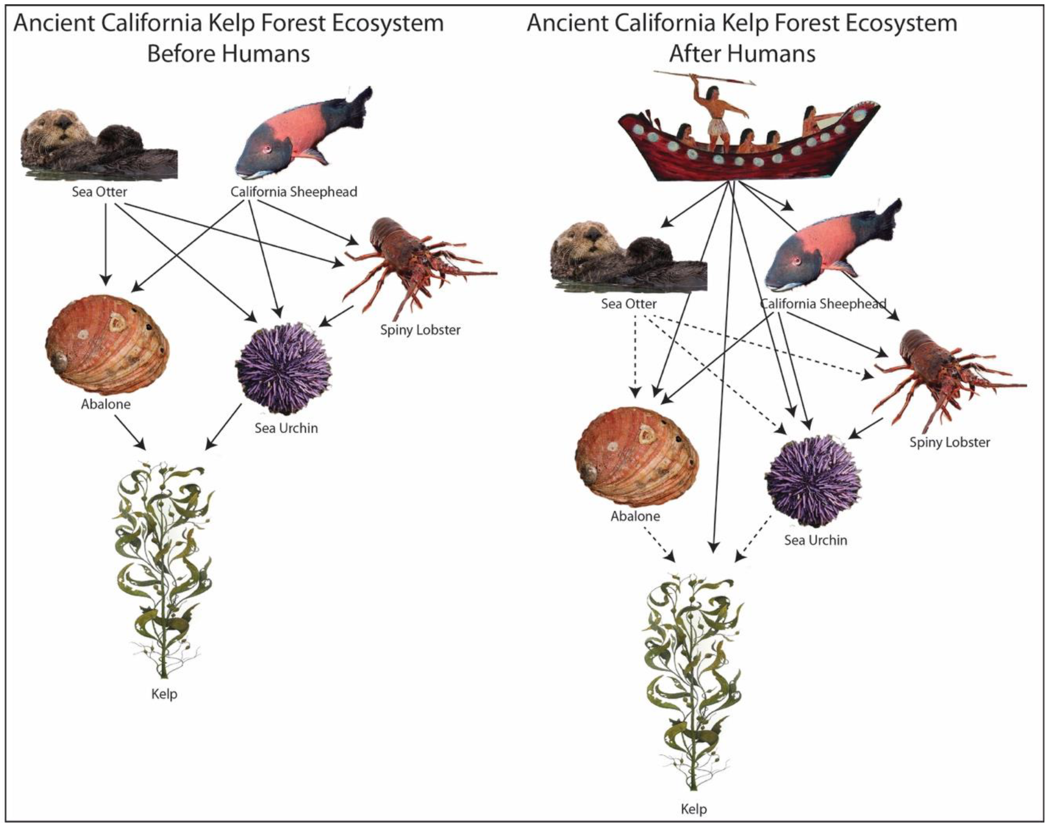 Sustainability 12 06459 g001 Sustainability 12 06459 g001