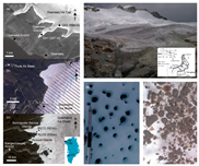 Sustainability 12 06477 g001