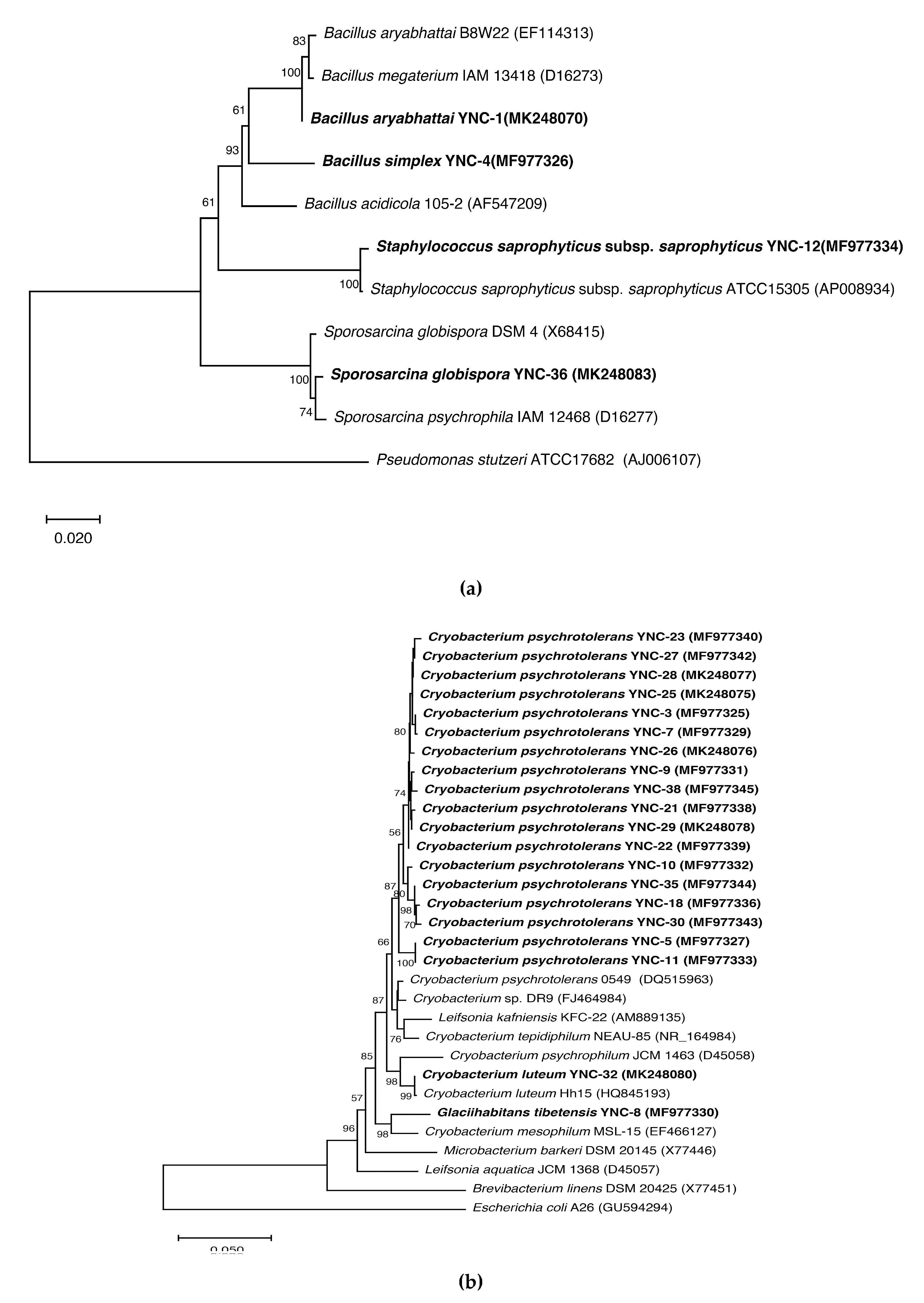 Sustainability 12 06477 g002a