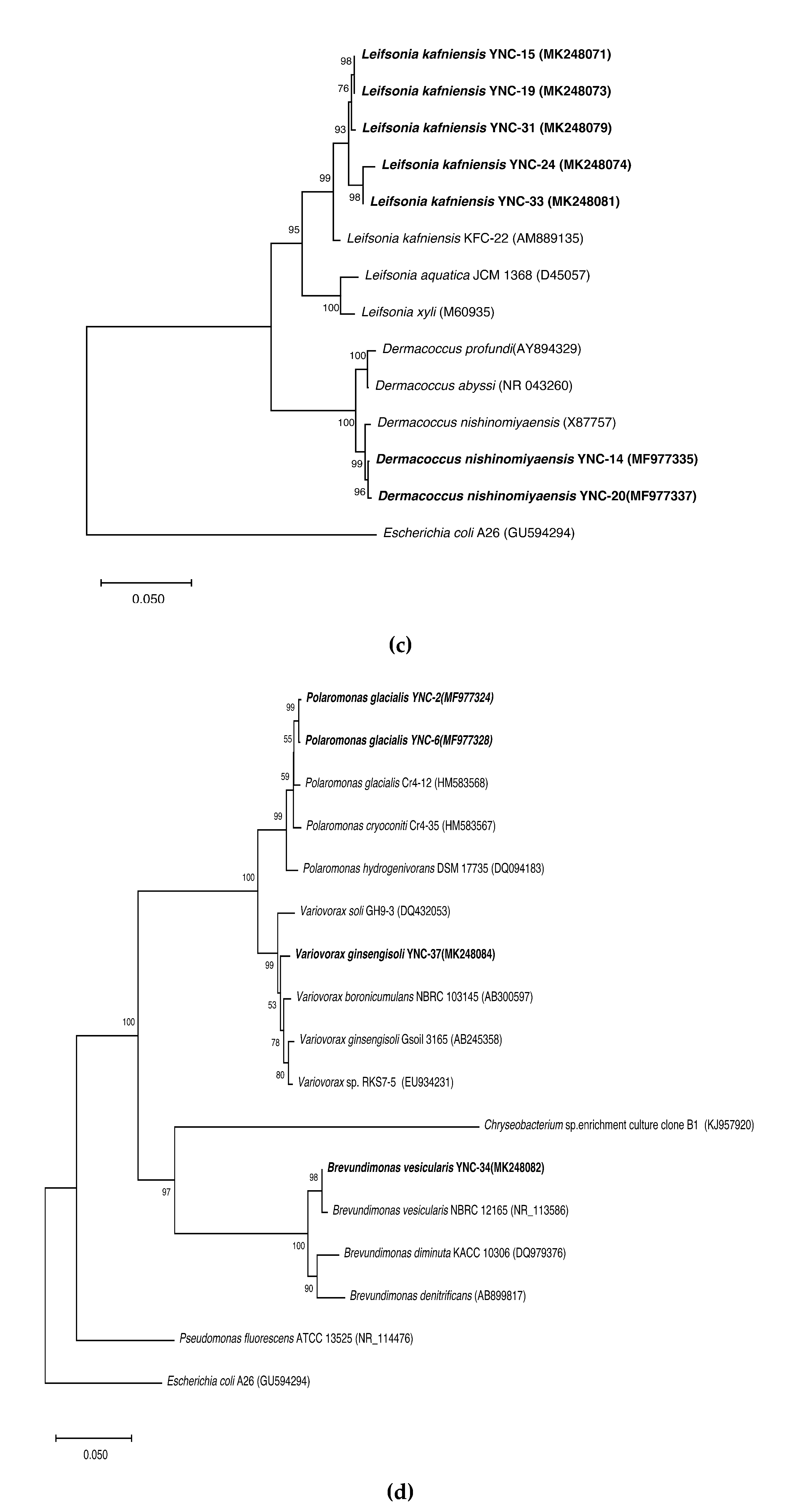 Sustainability 12 06477 g002b