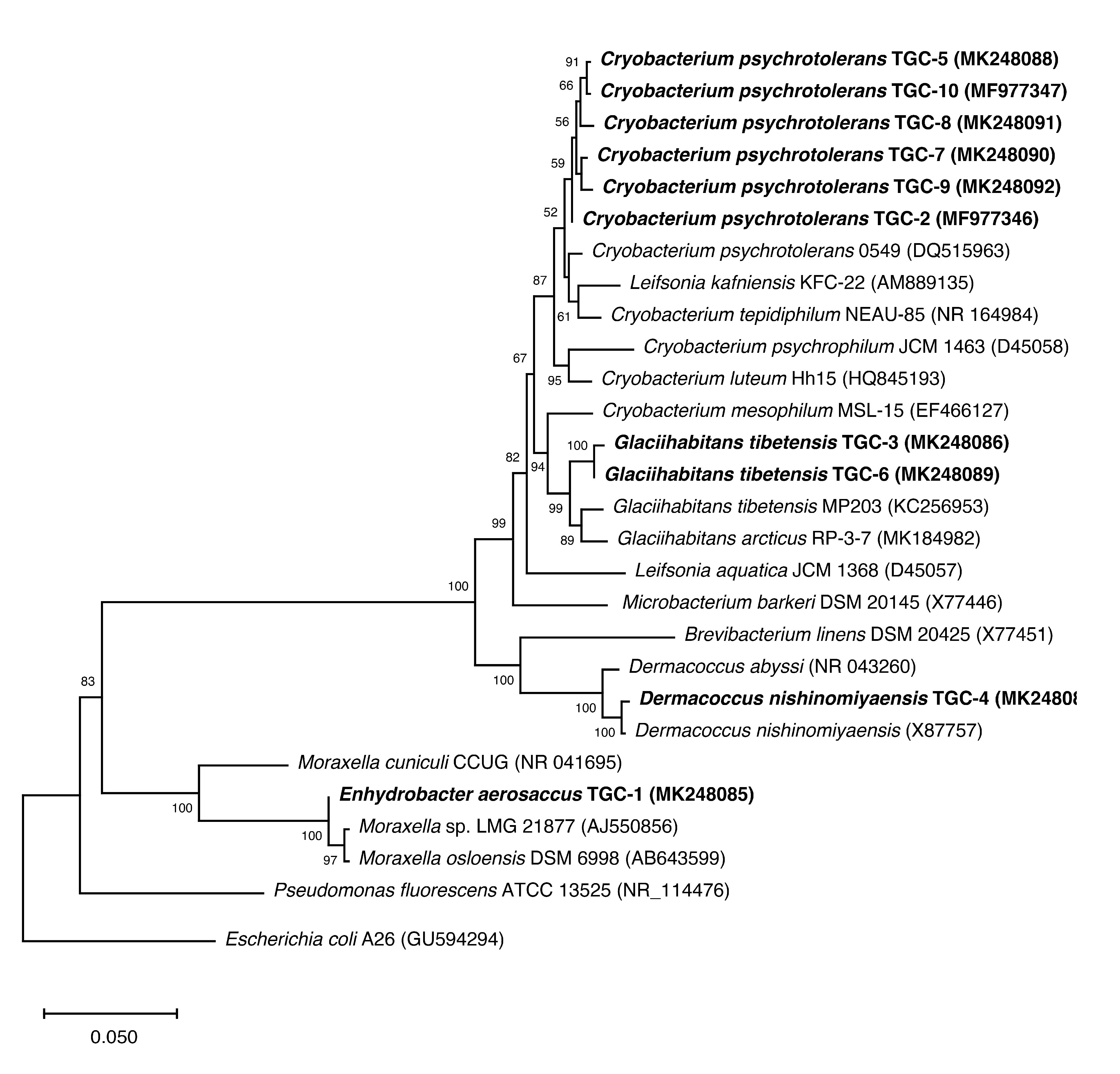 Sustainability 12 06477 g003