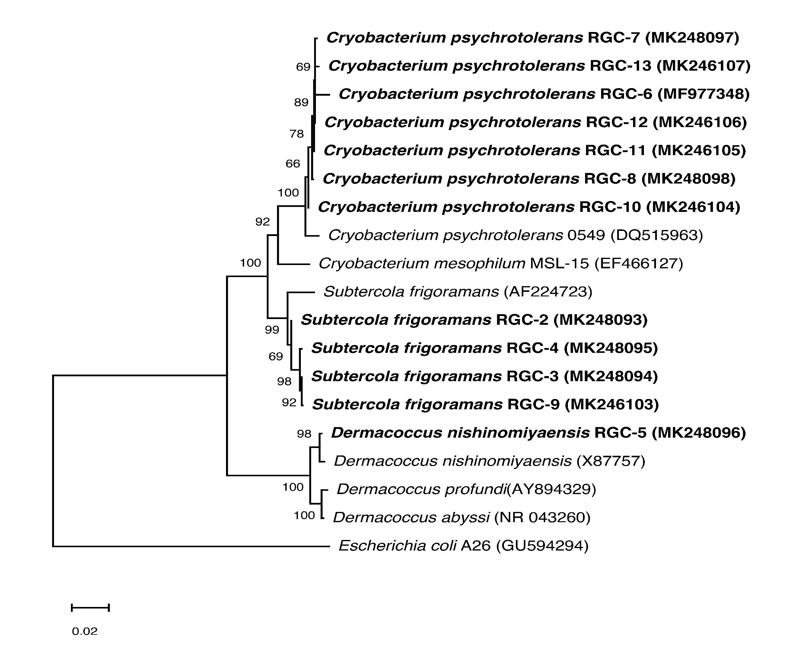 Sustainability 12 06477 g004