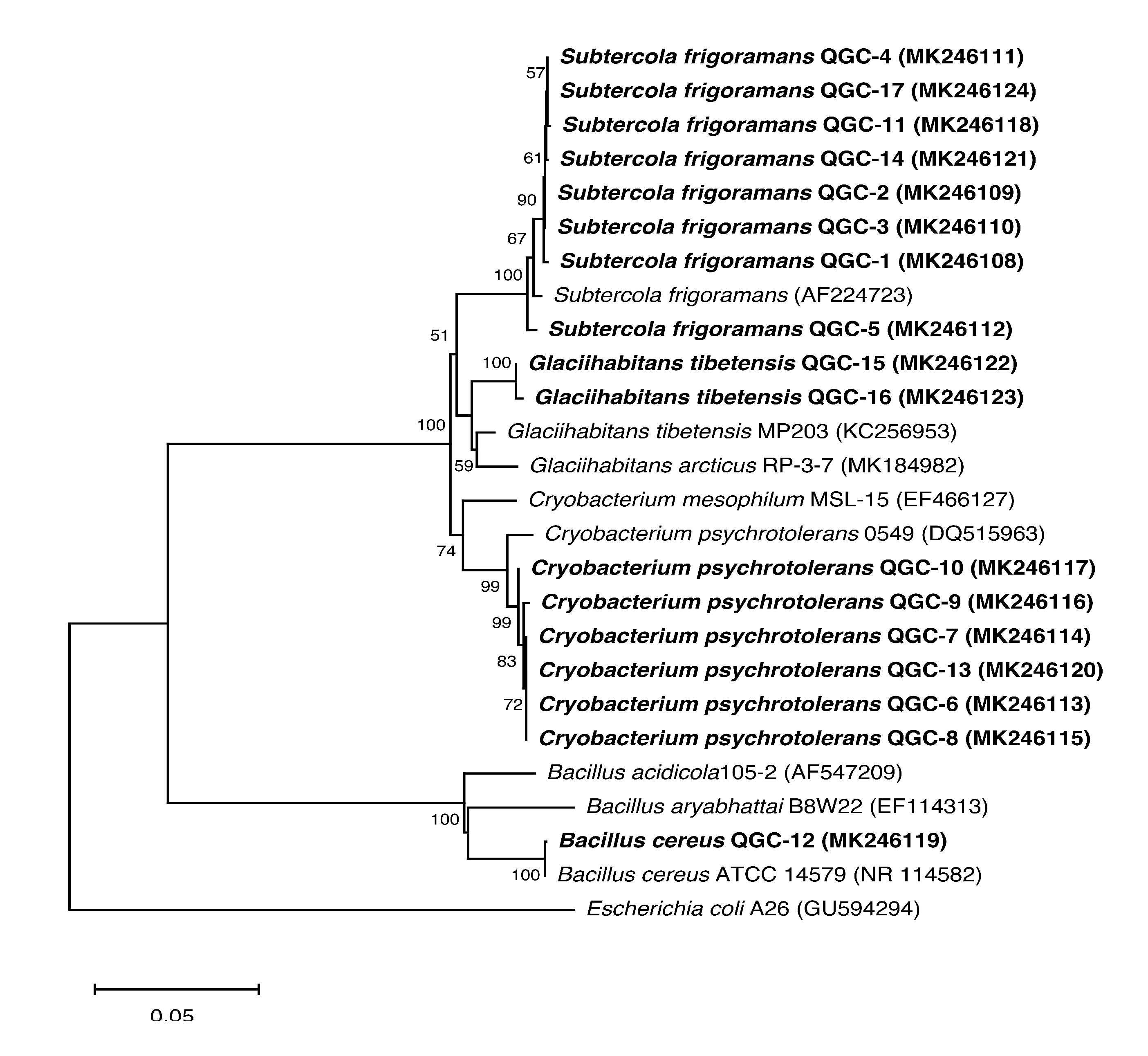 Sustainability 12 06477 g005