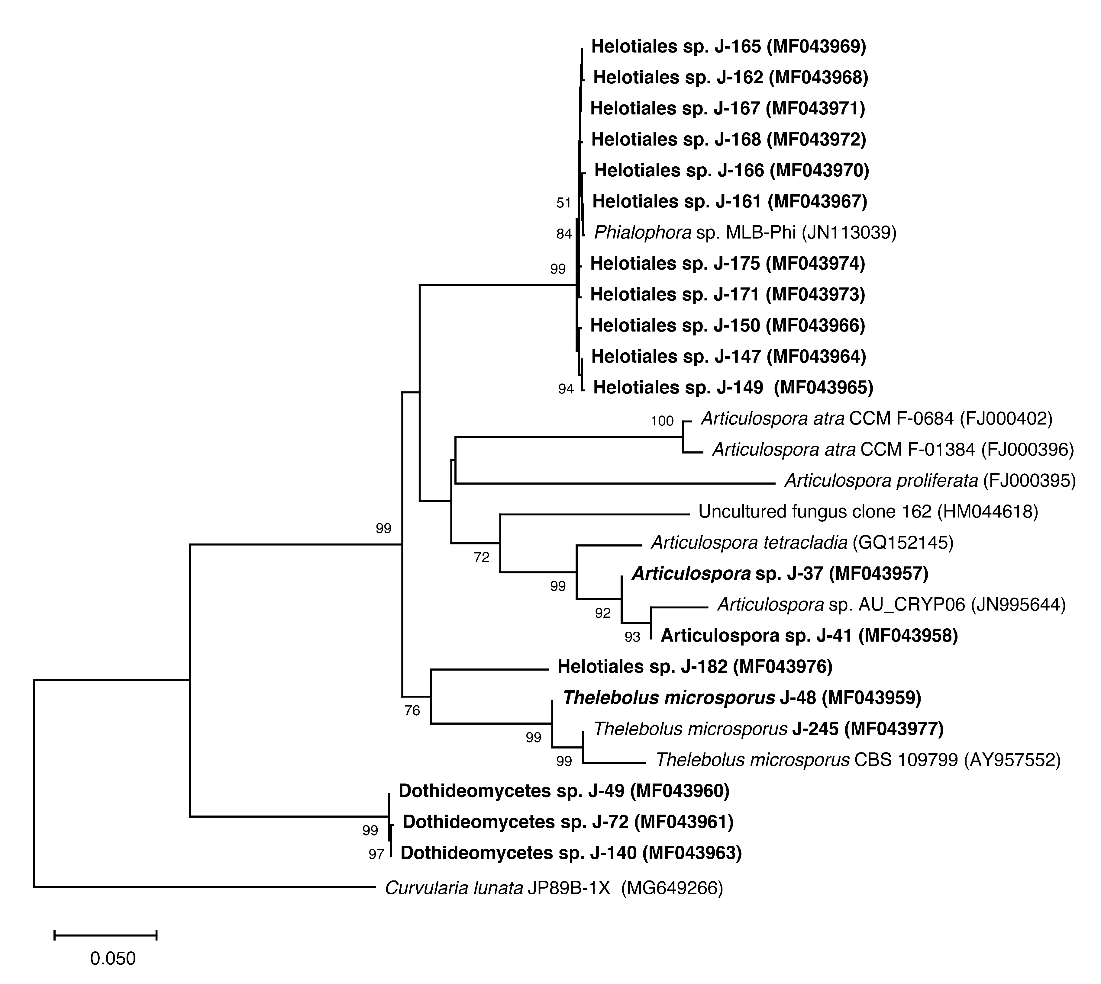 Sustainability 12 06477 g007