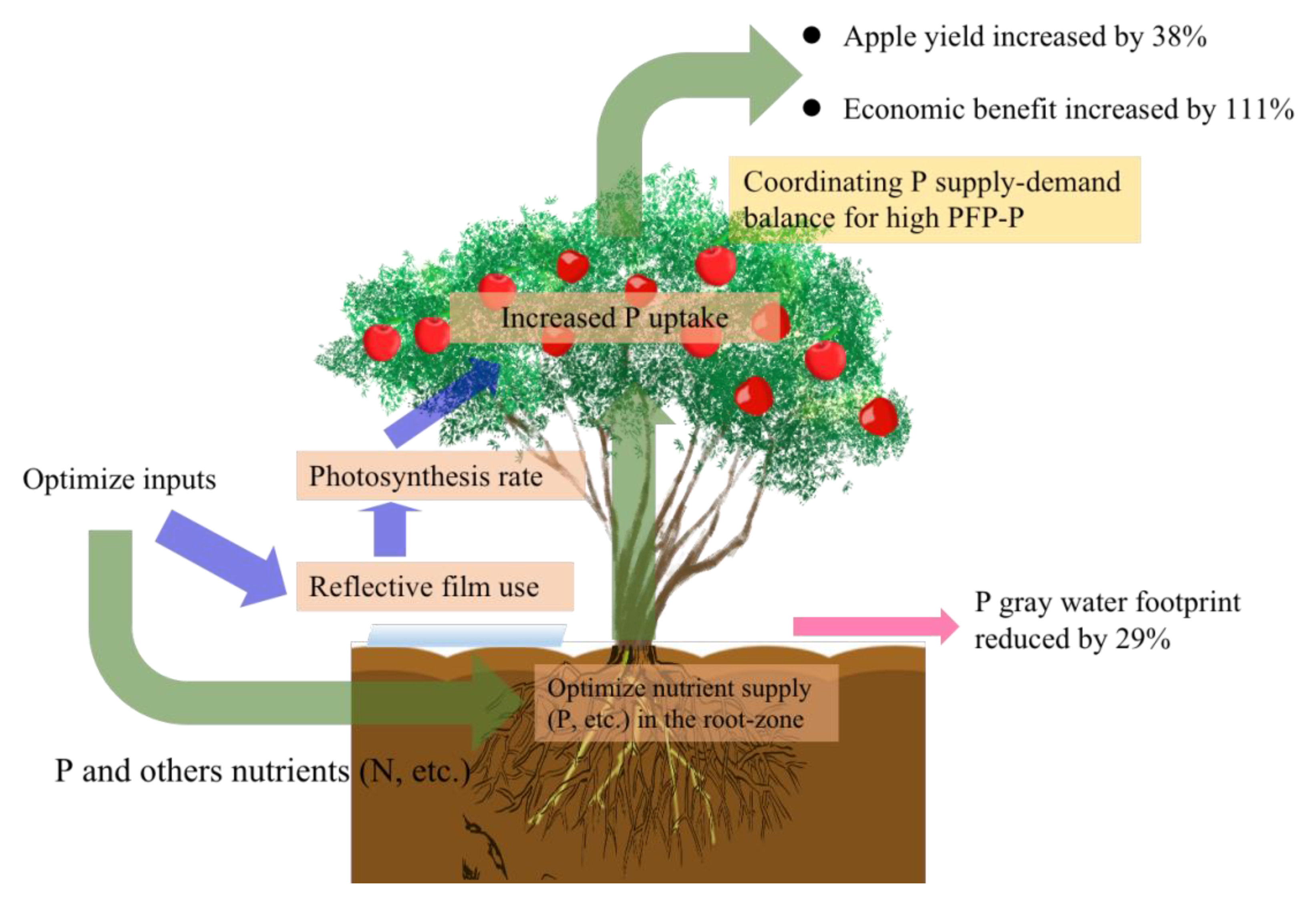Sustainability 12 06496 g006
