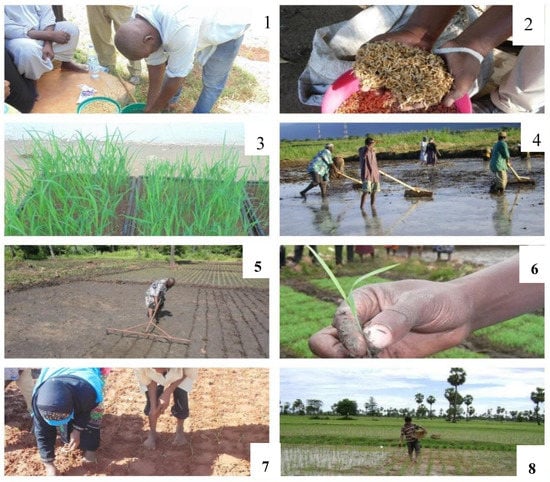 Sustainability 12 06528 g0a1