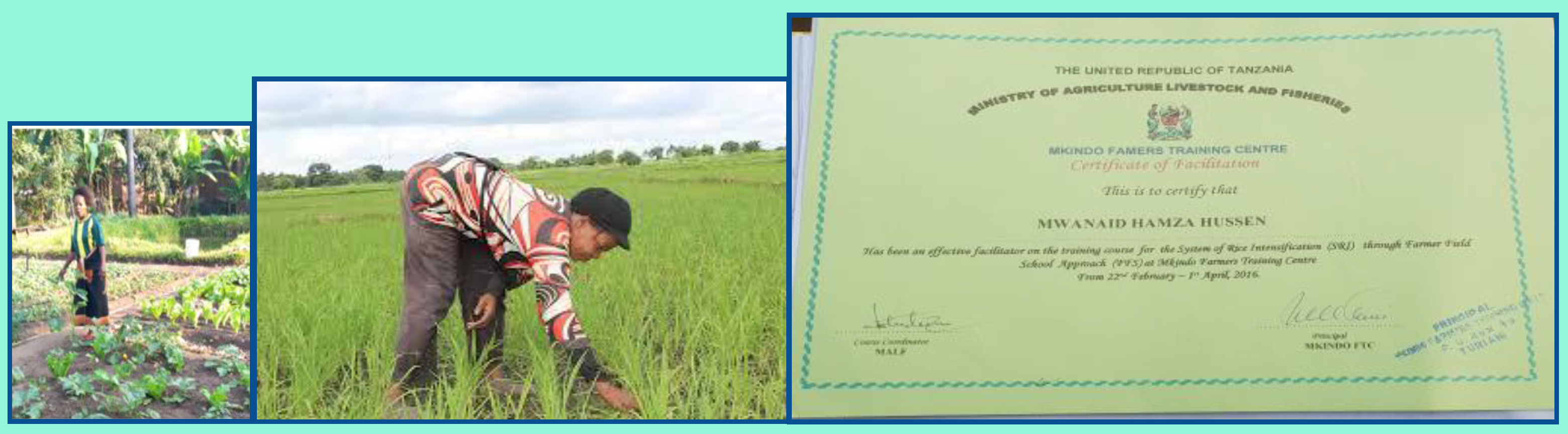 Sustainability 12 06528 i001