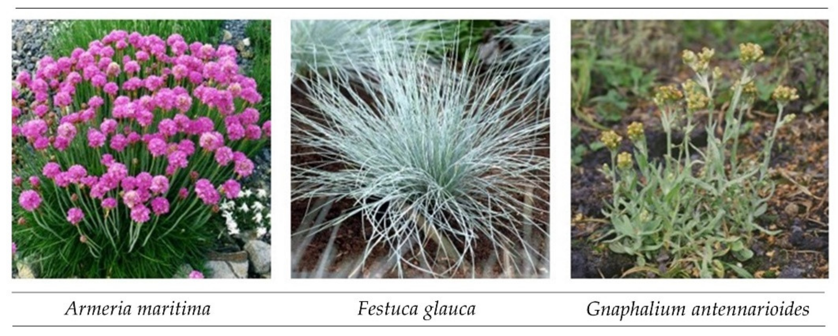 Sustainability 12 06534 g002