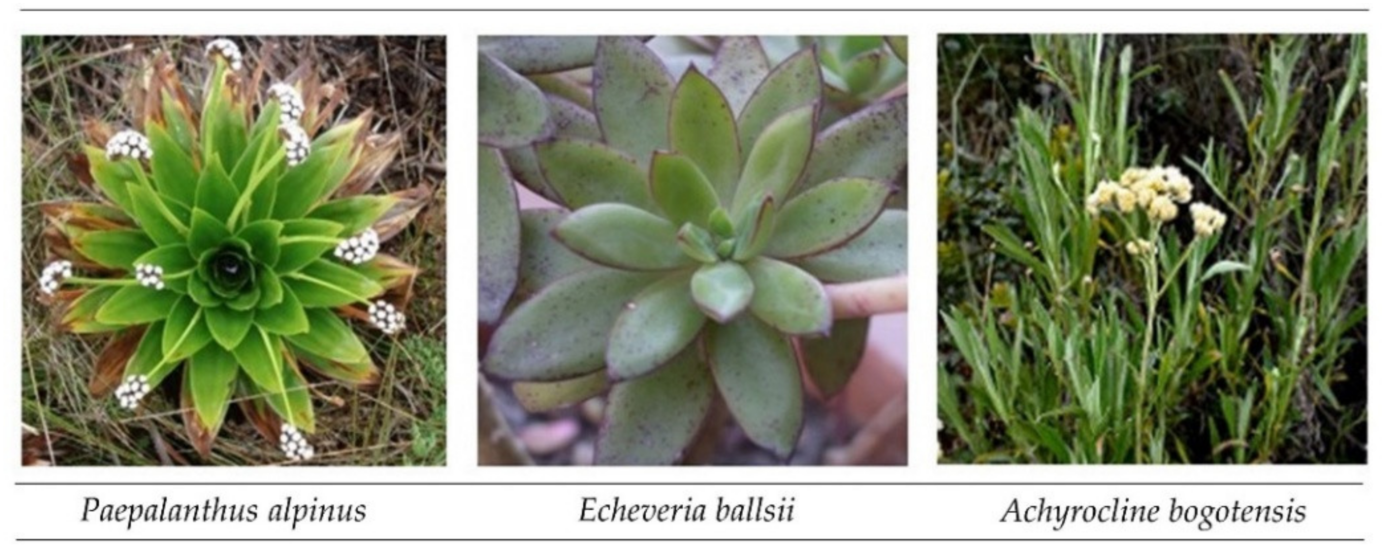 Sustainability 12 06534 g003