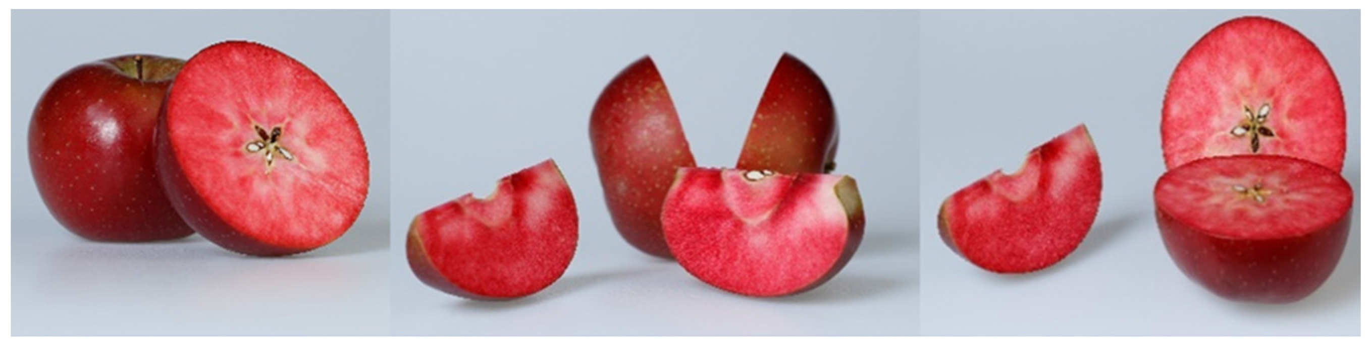 Sustainability 12 06542 g001 Sustainability 12 06542 g001