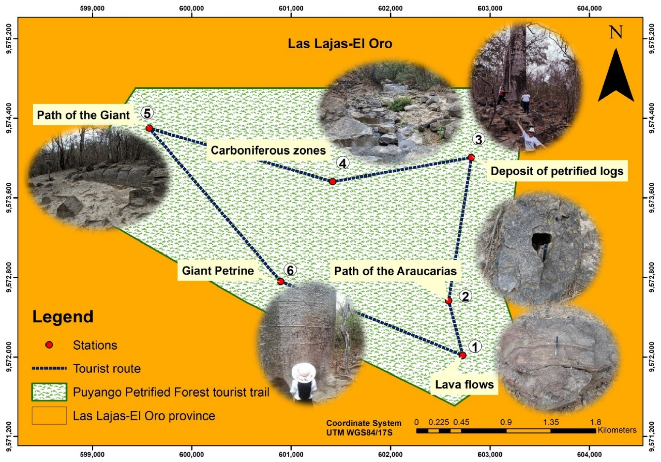 Sustainability 12 06579 g004