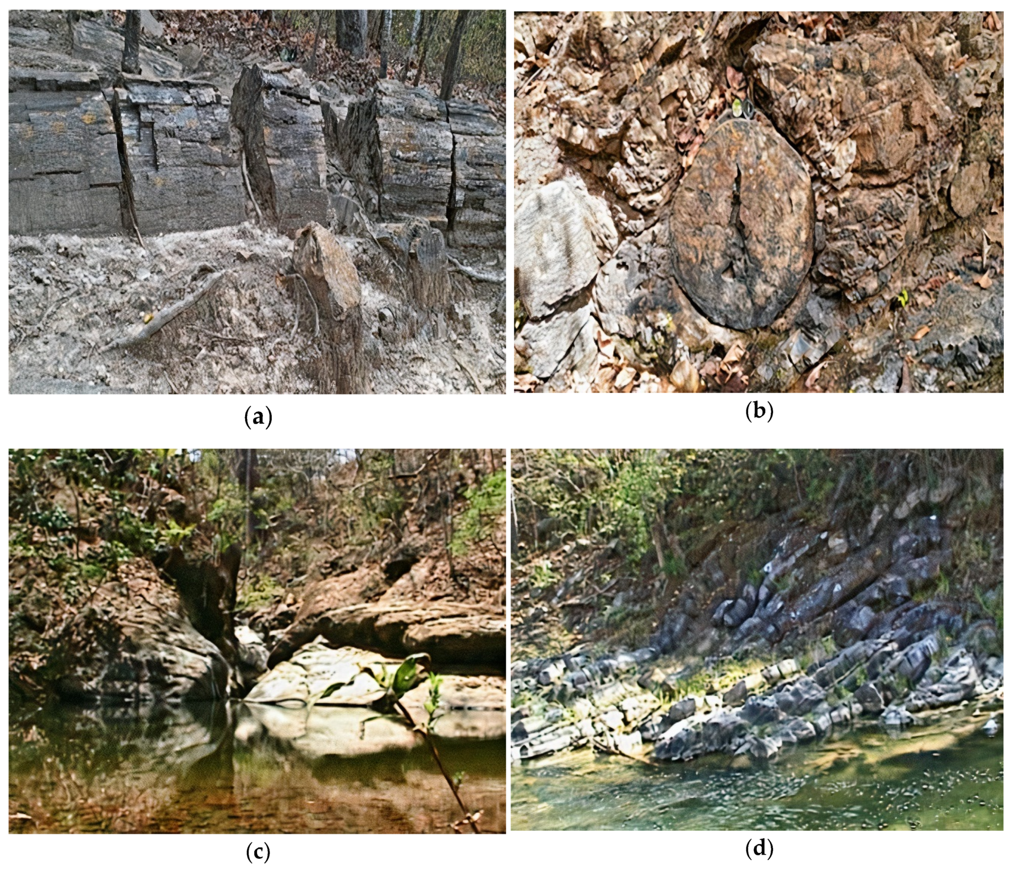 Sustainability 12 06579 g005