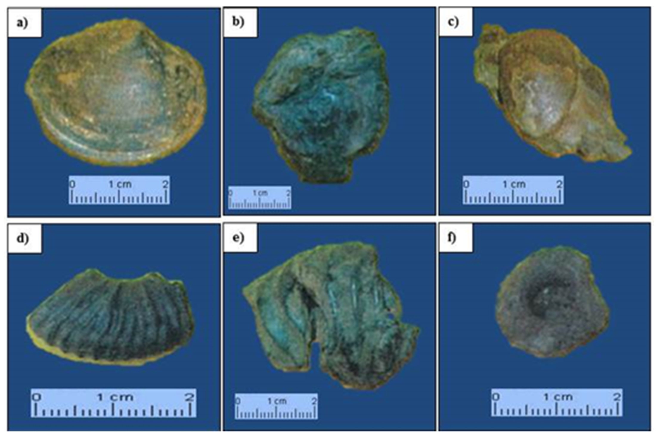 Sustainability 12 06579 g007