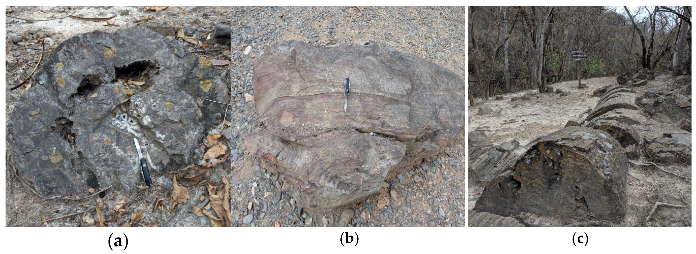 Sustainability 12 06579 g009