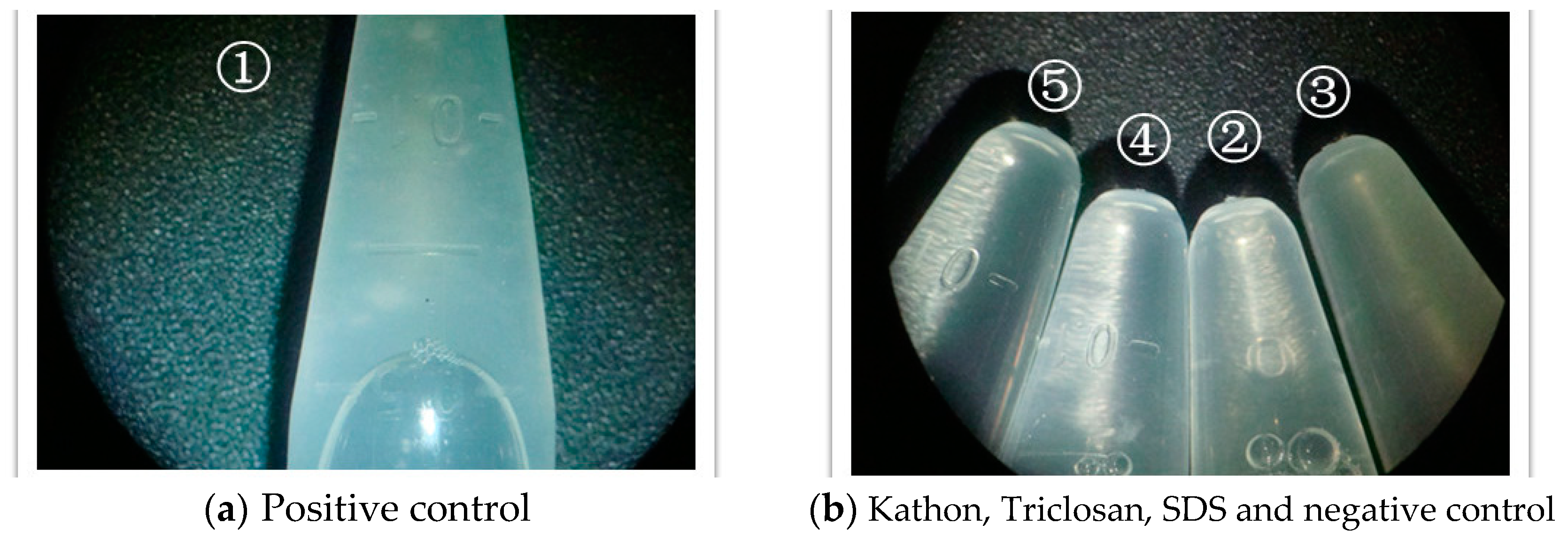 Sustainability 12 06697 g002