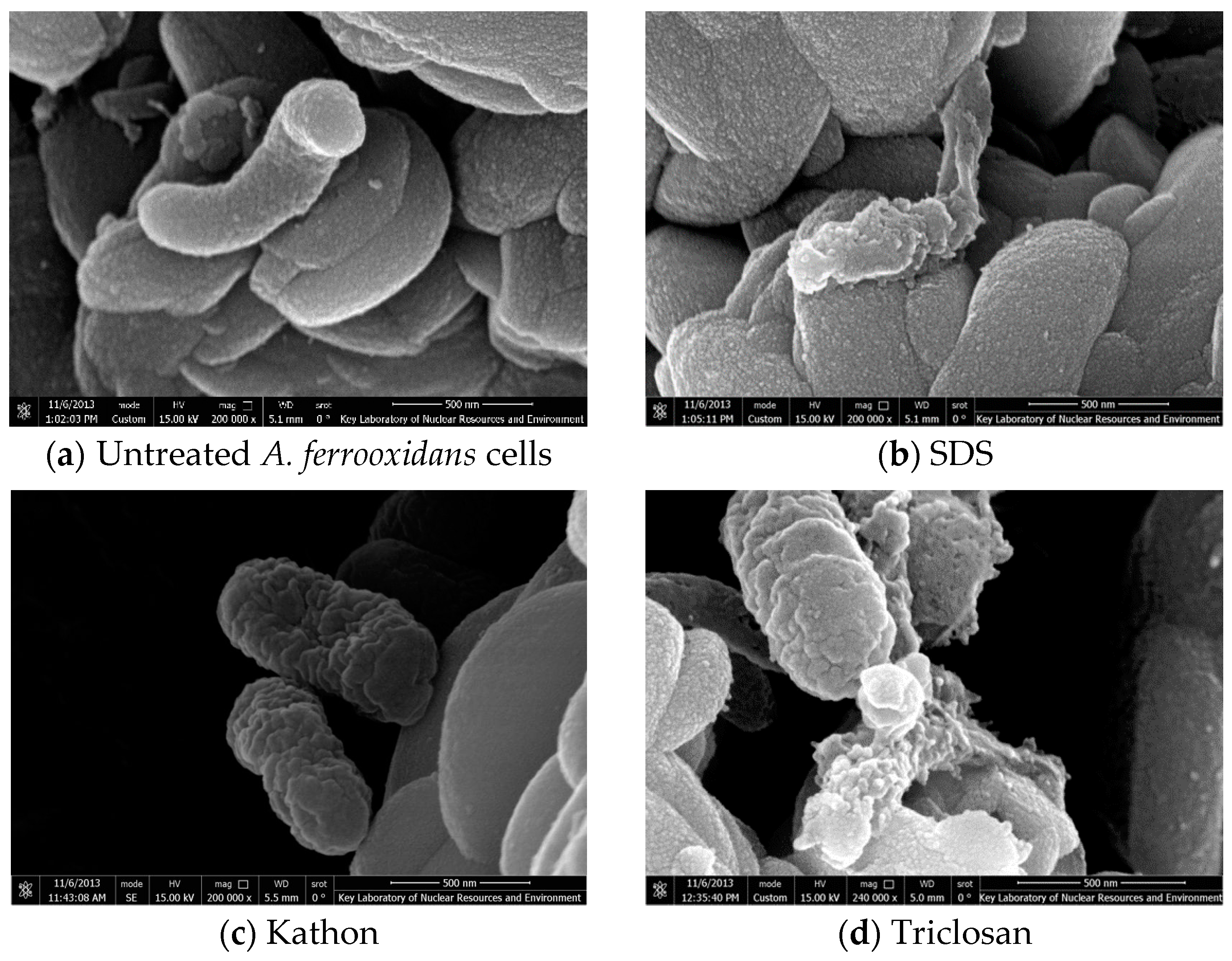 Sustainability 12 06697 g003