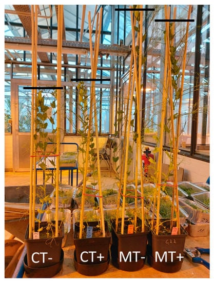 Sustainability 12 06730 g0a1