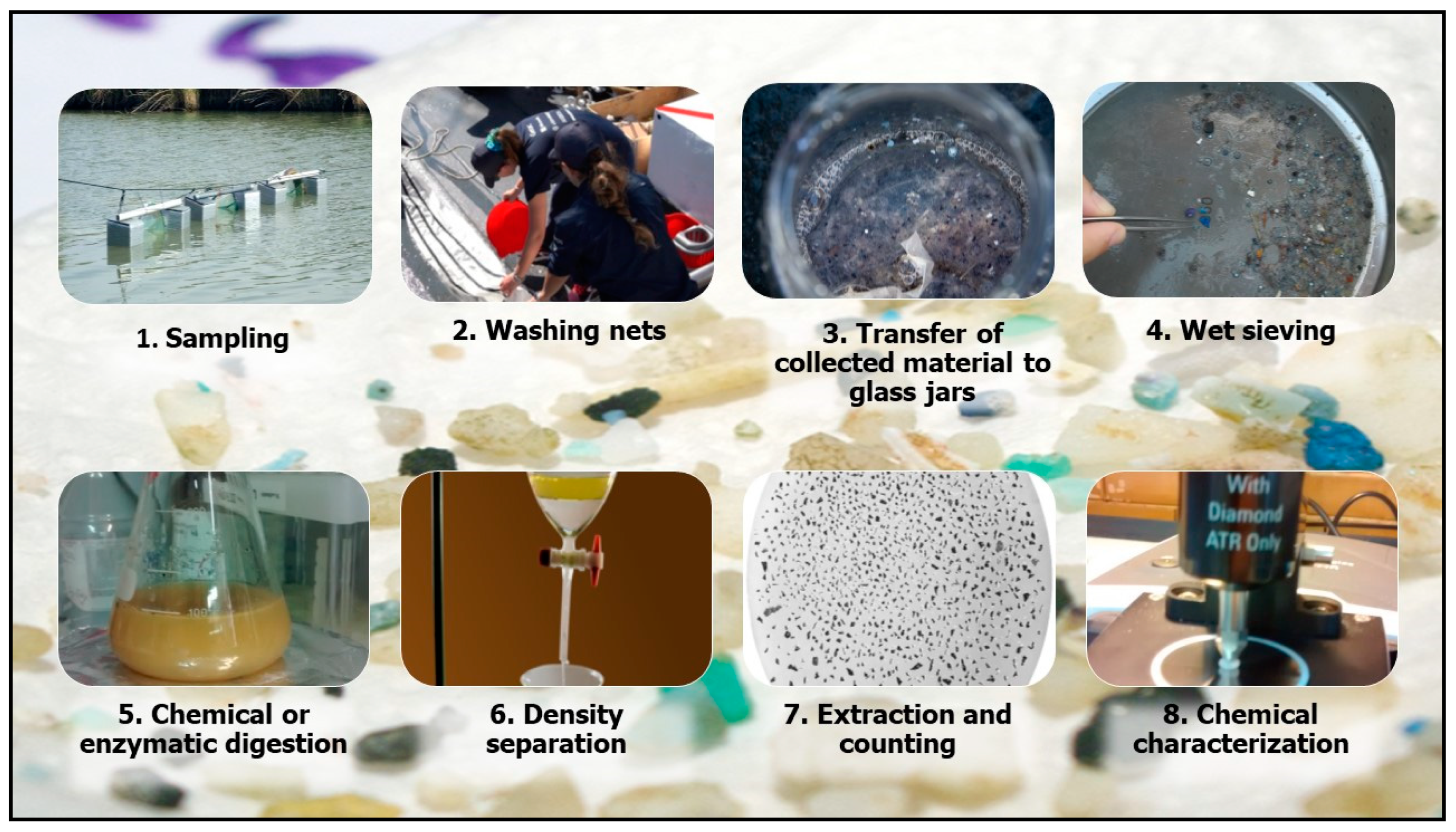 Sustainability 12 06755 g006