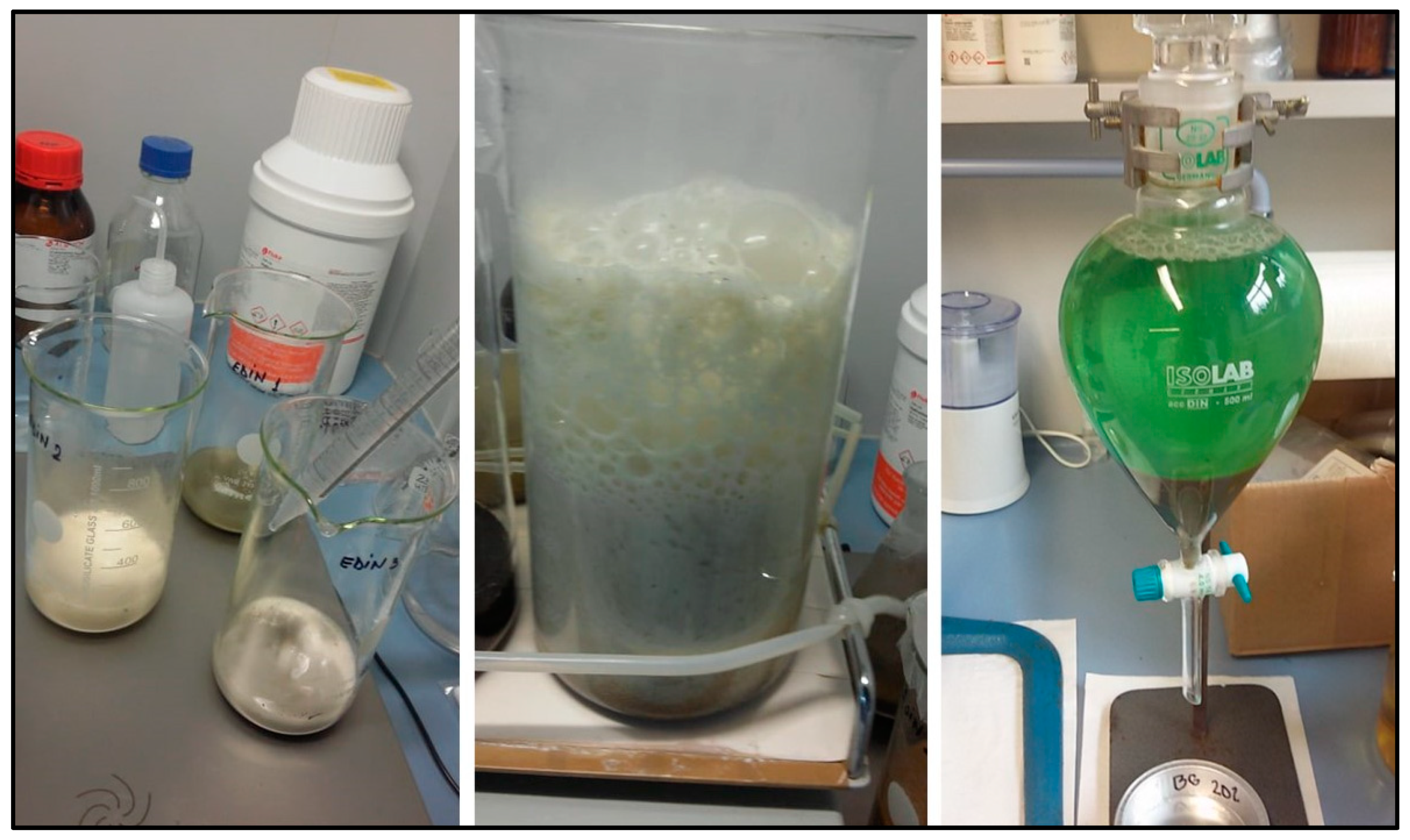 Sustainability 12 06755 g007