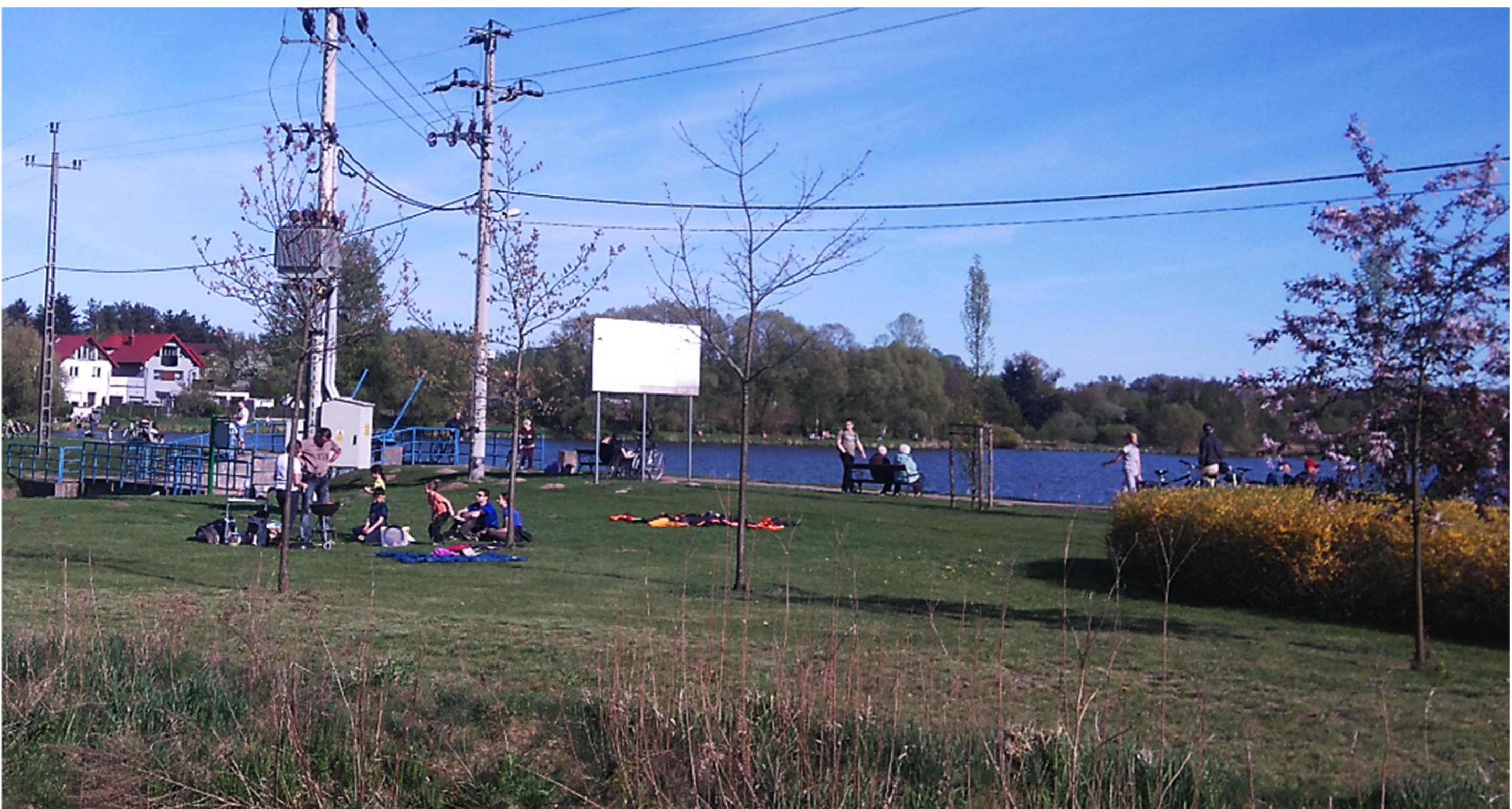 Sustainability 12 06764 g008