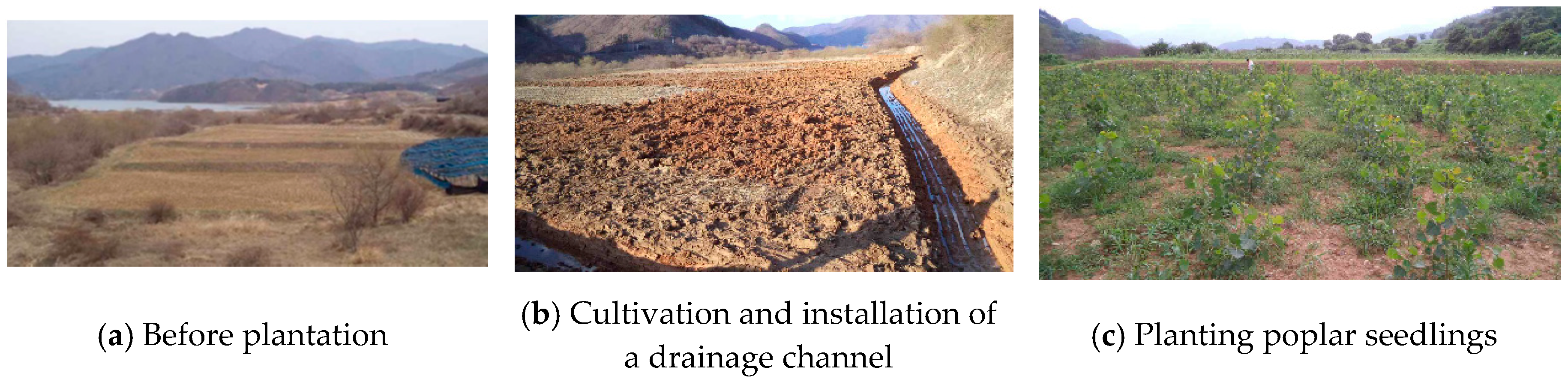 Sustainability 12 06871 g002 Sustainability 12 06871 g002