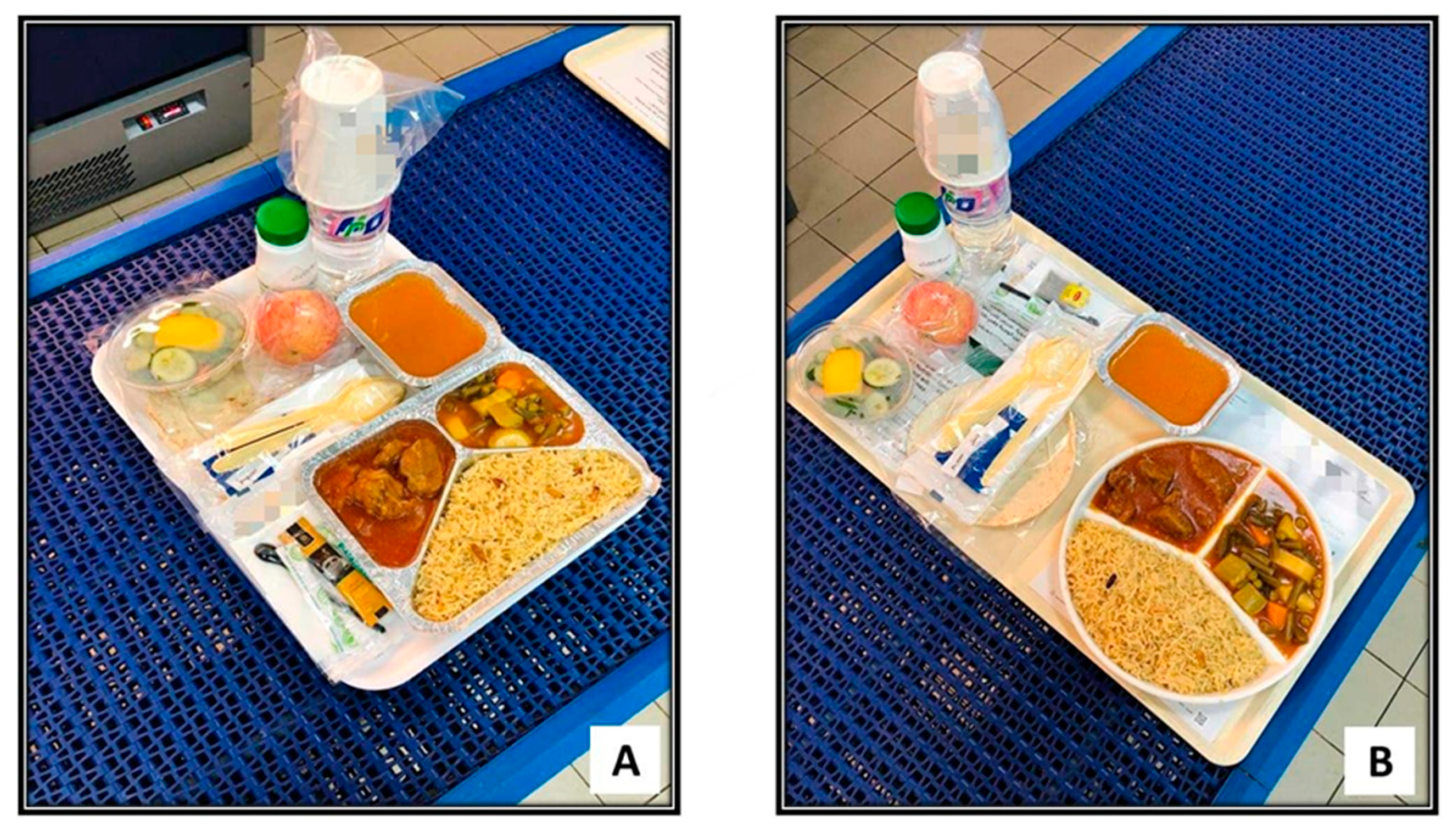 Sustainability 12 06872 g001 Sustainability 12 06872 g001