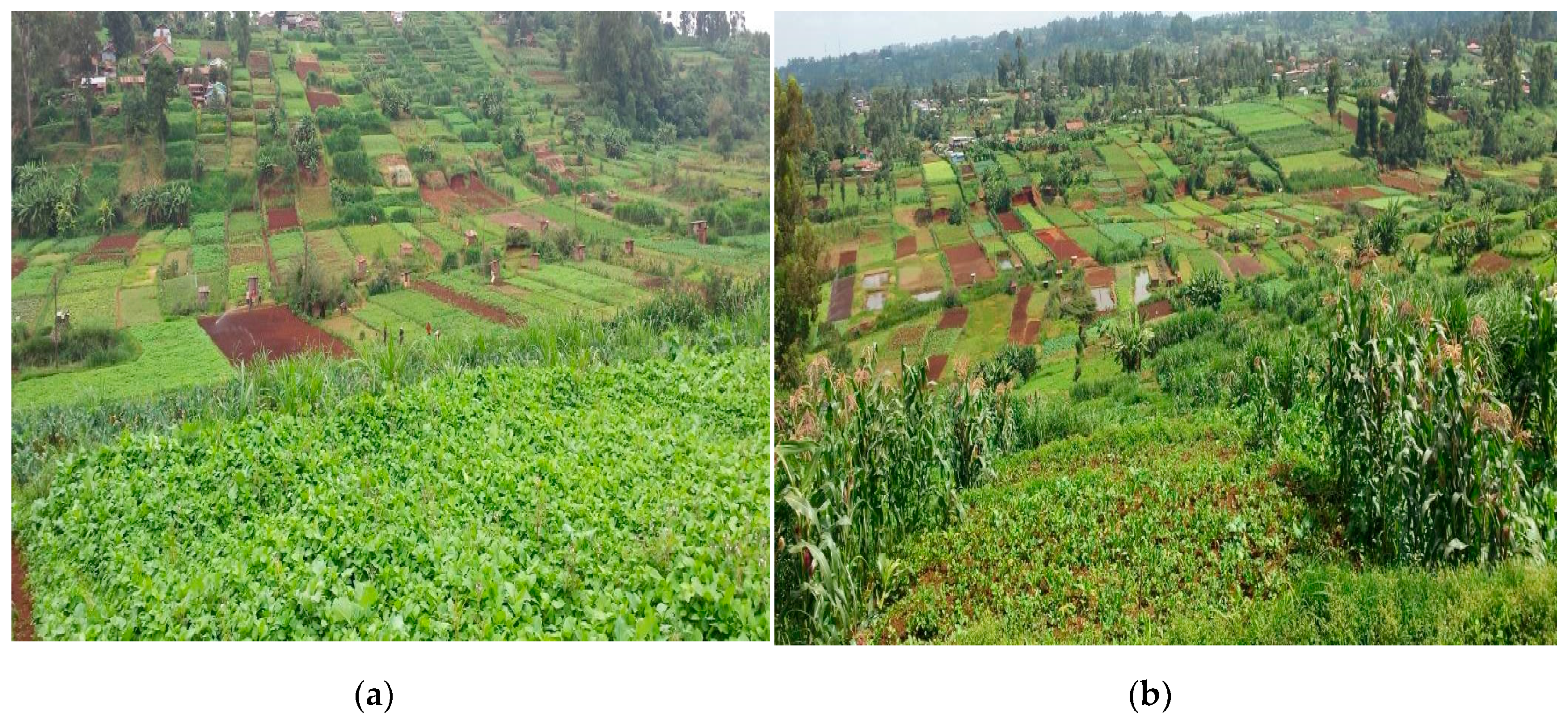 Sustainability 12 06883 g003 Sustainability 12 06883 g003