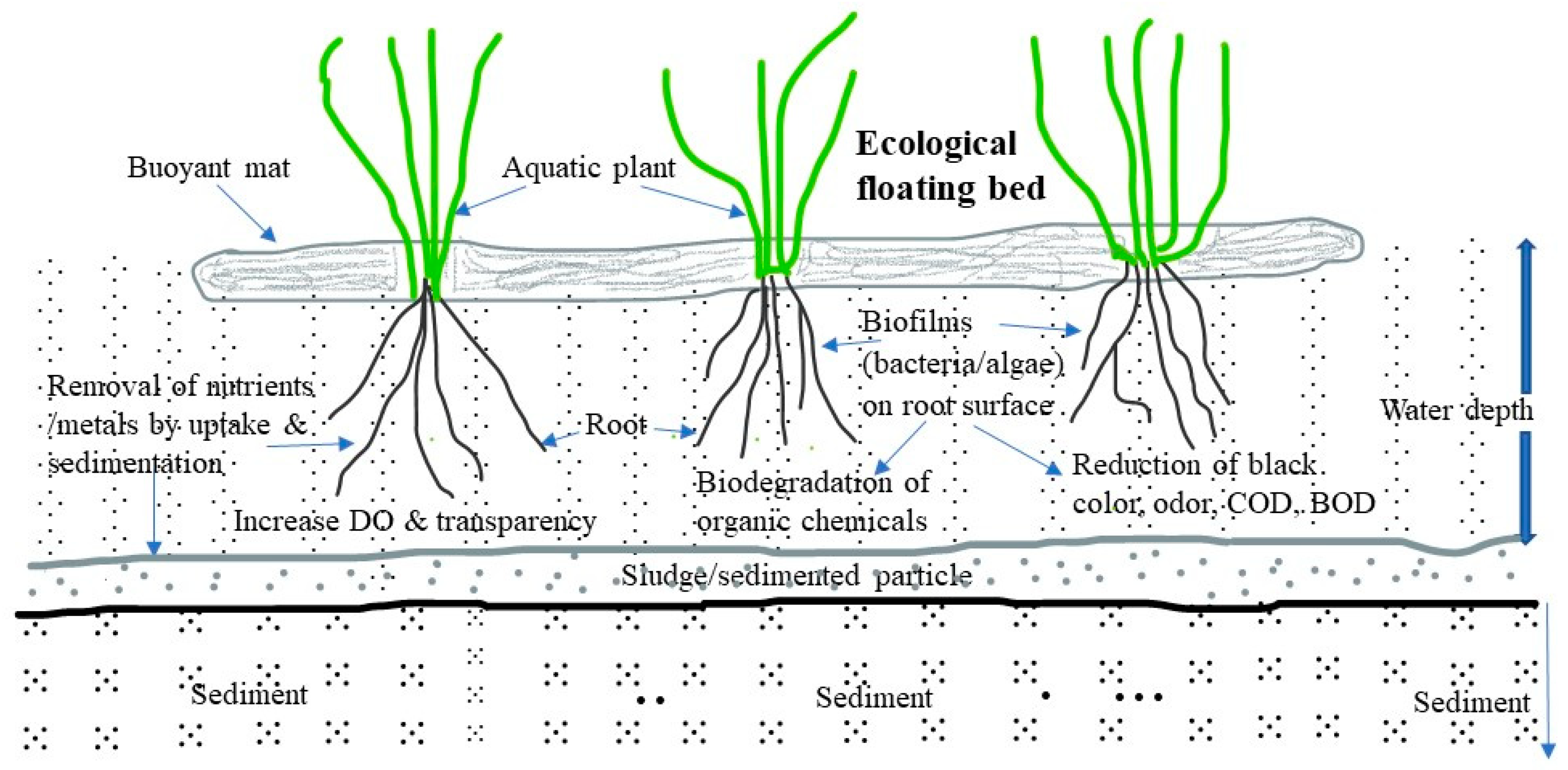 Sustainability 12 07017 g003