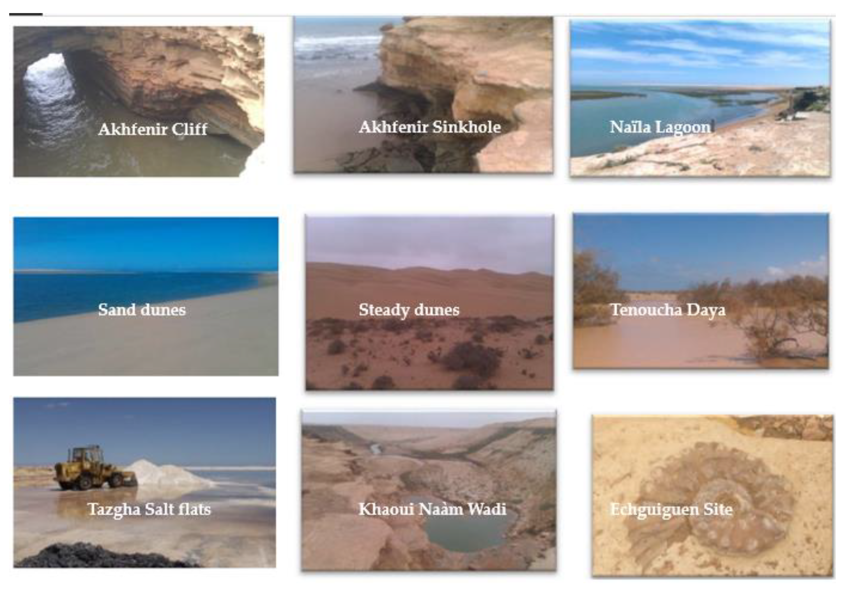 Sustainability 12 07109 g002