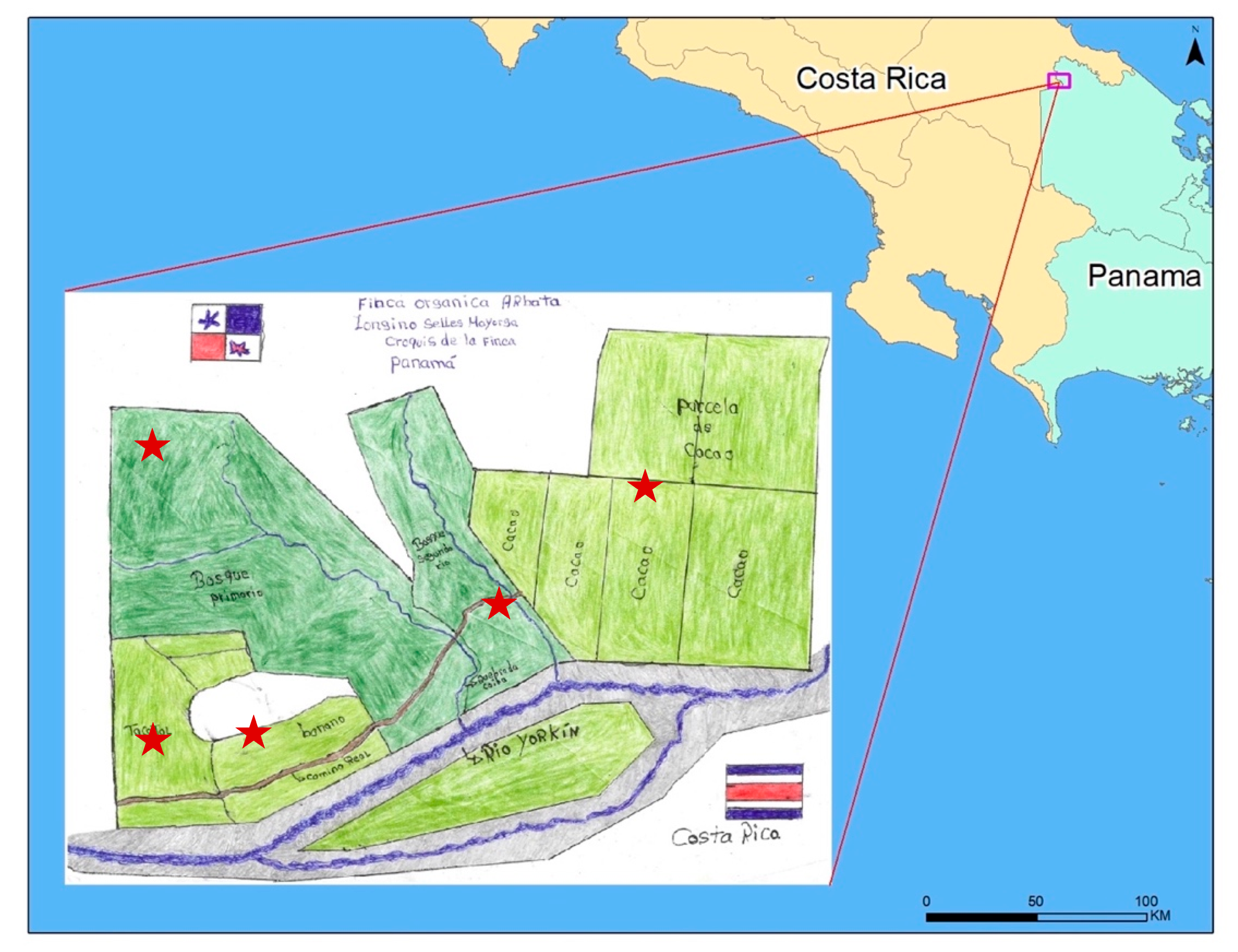 Sustainability 12 07120 g001