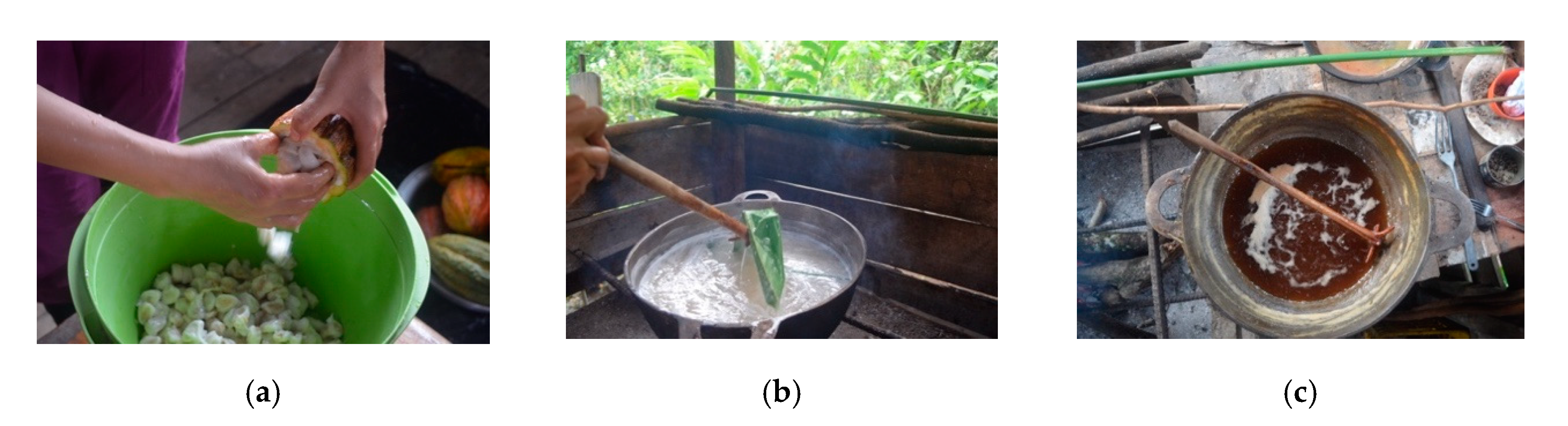 Sustainability 12 07120 g002