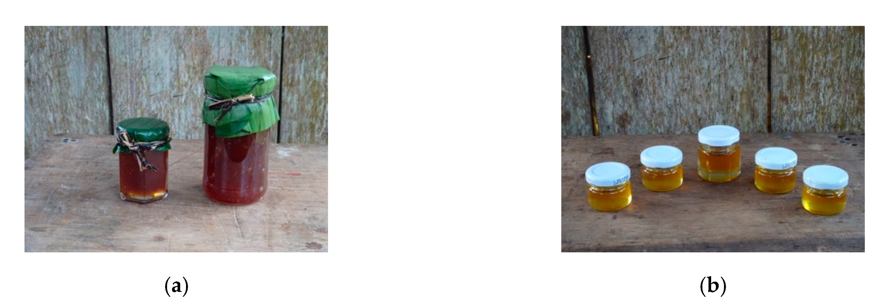 Sustainability 12 07120 g004