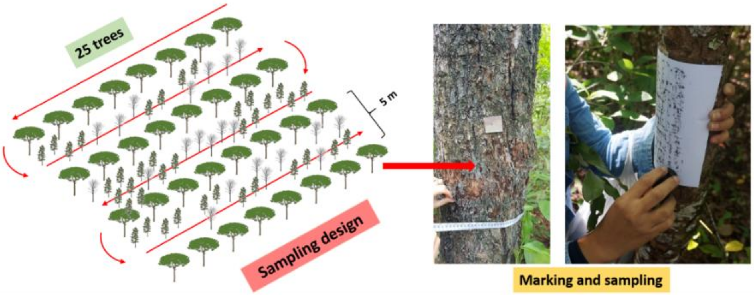 Sustainability 12 07149 g002