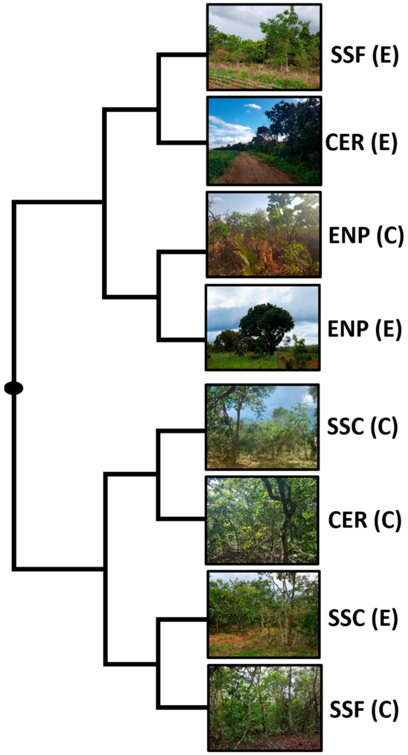 Sustainability 12 07149 g005
