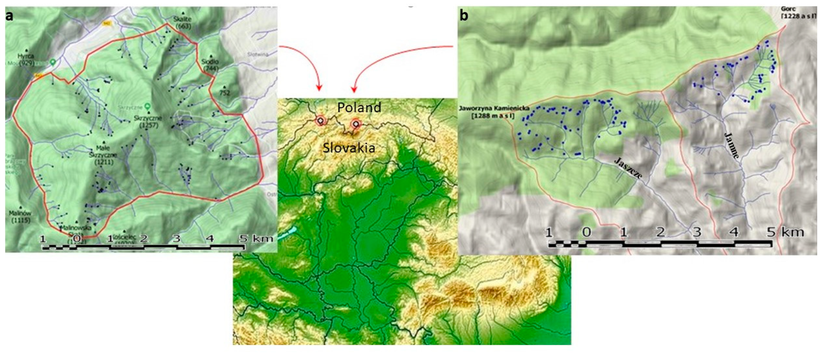 Sustainability 12 07158 g001