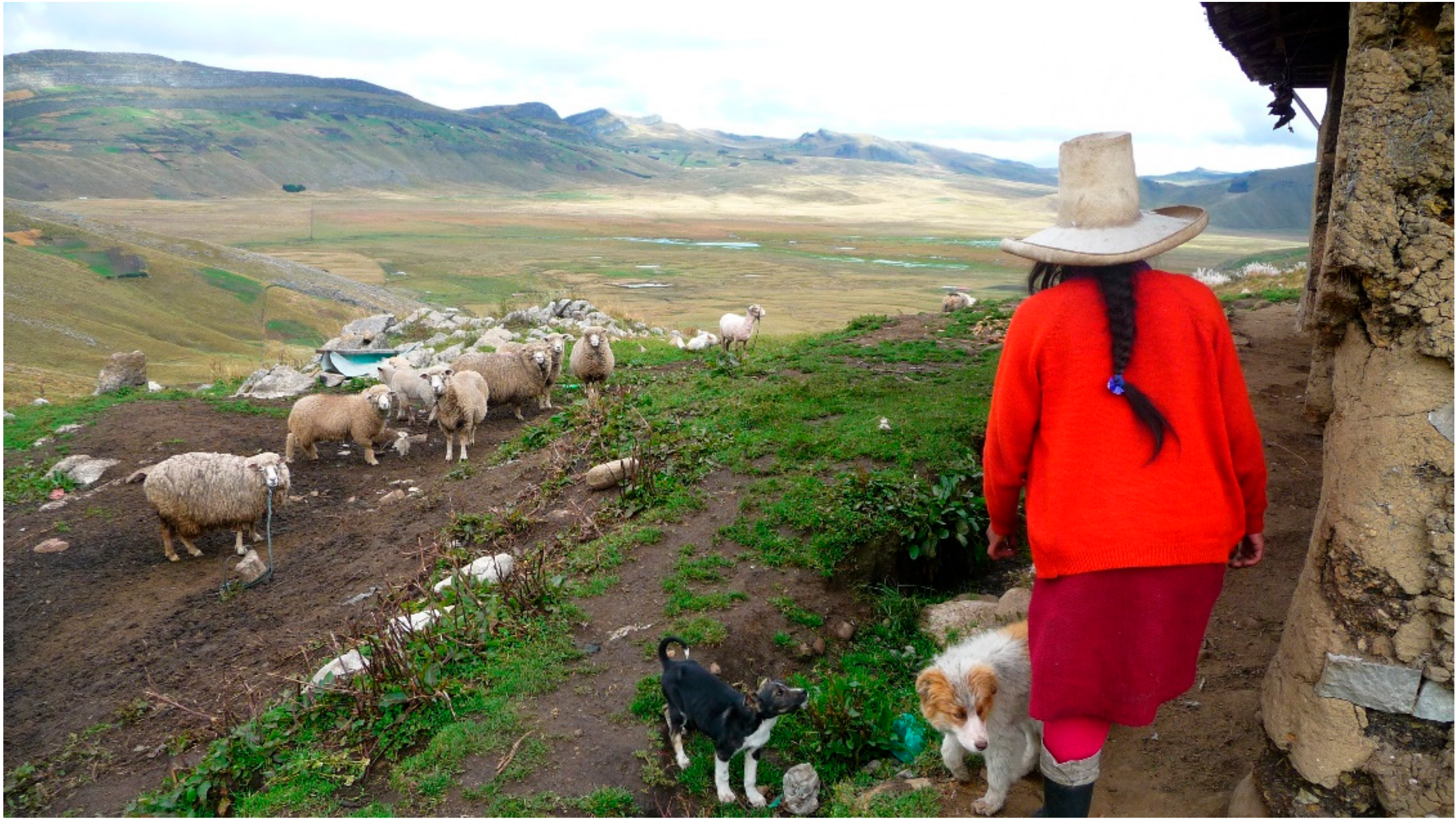 Sustainability 12 07184 g002