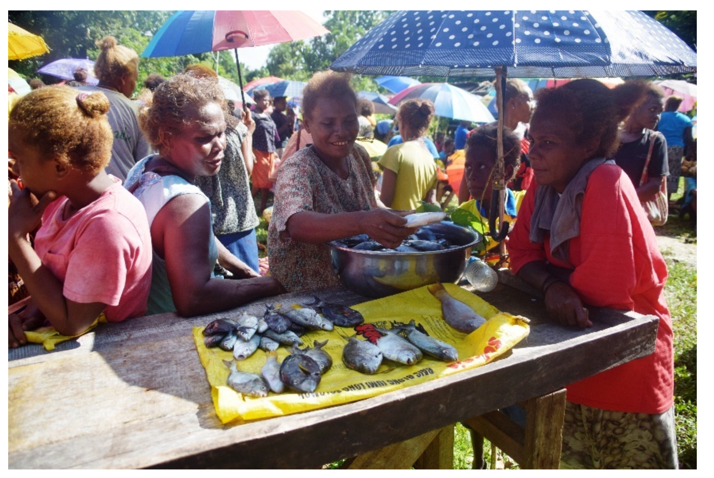 Sustainability 12 07225 g002 Sustainability 12 07225 g002