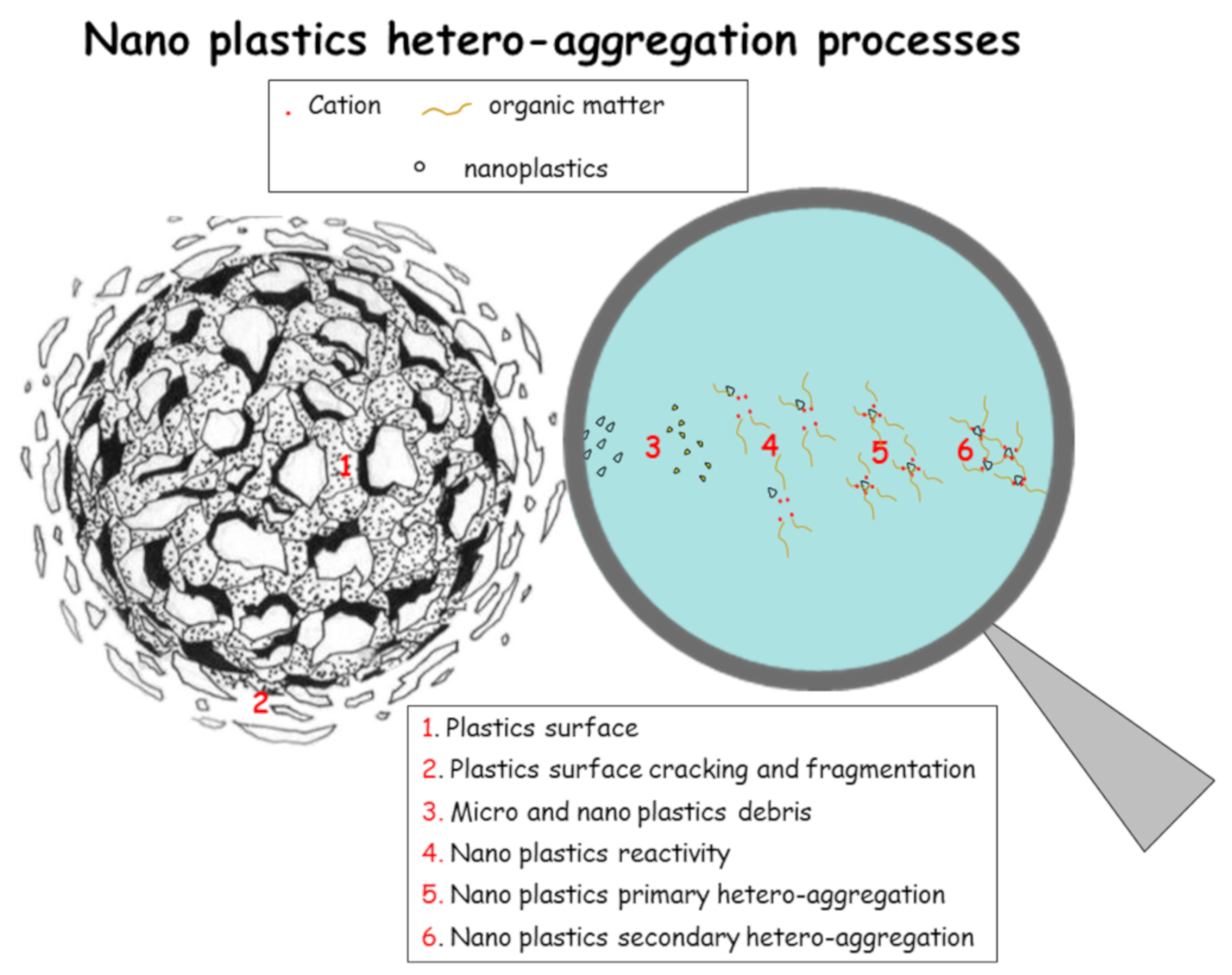 Sustainability 12 07255 g001