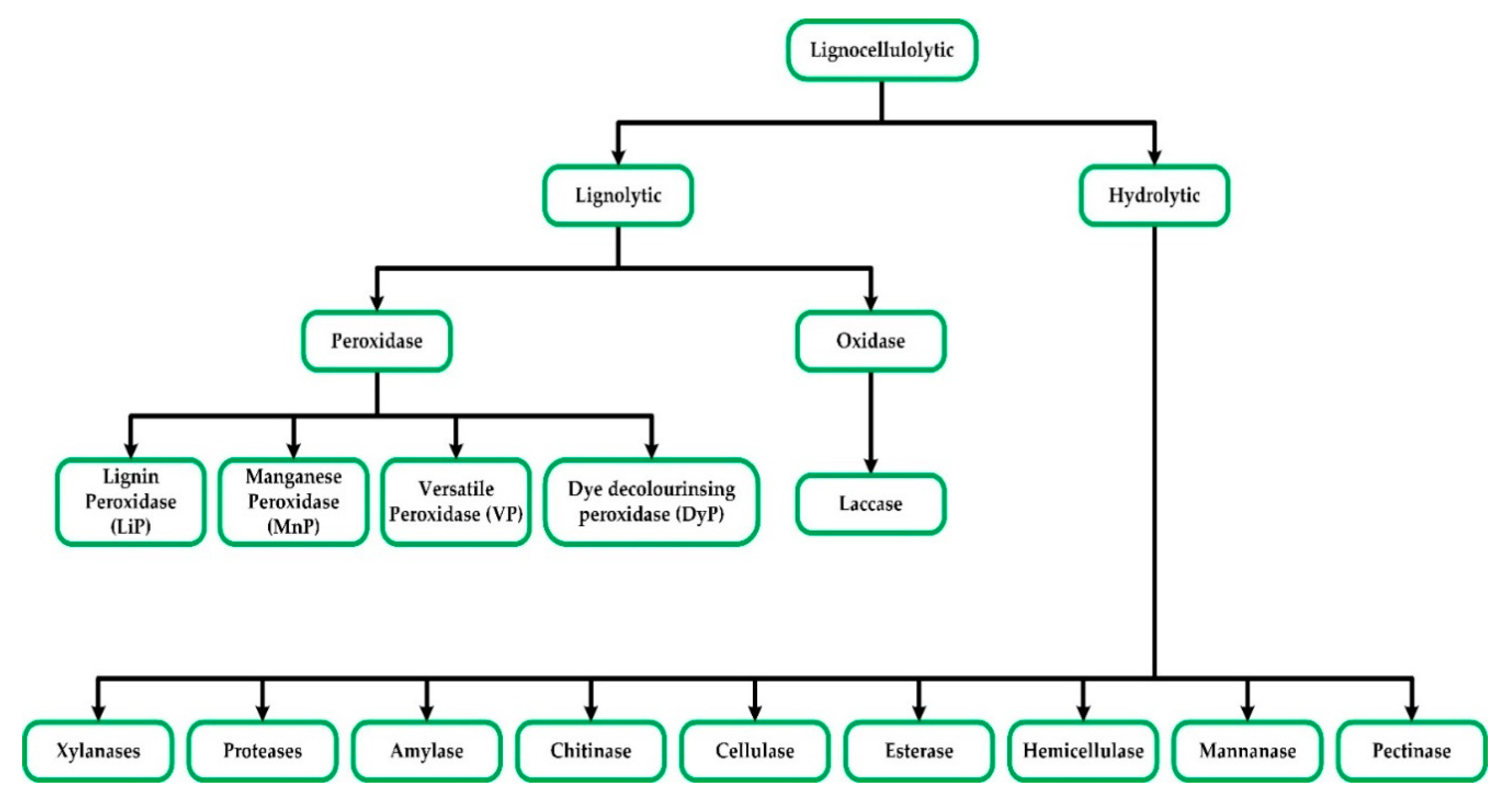 Sustainability 12 07282 g001