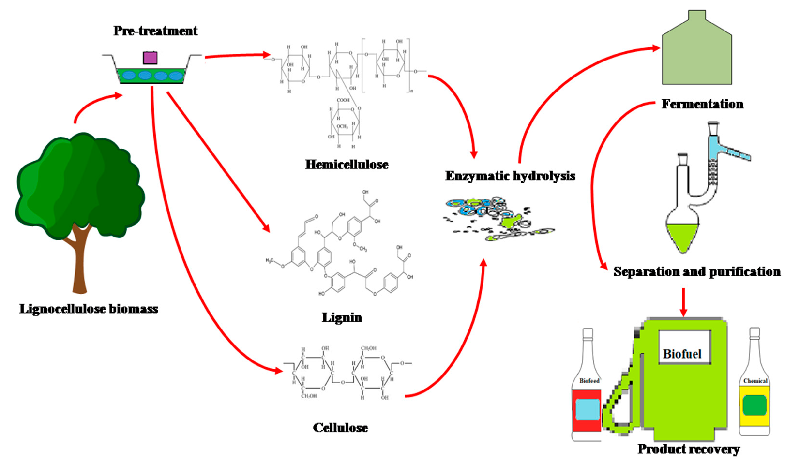 Sustainability 12 07282 g002