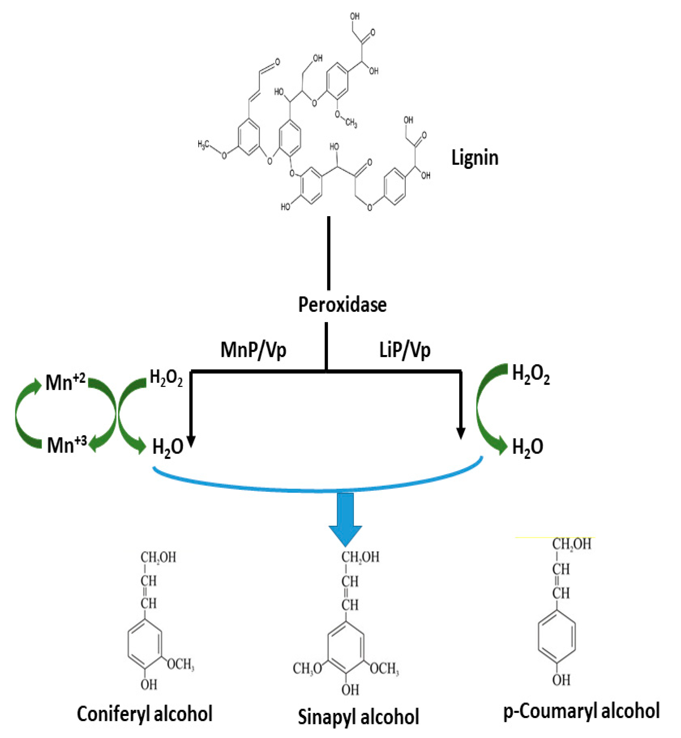 Sustainability 12 07282 g003